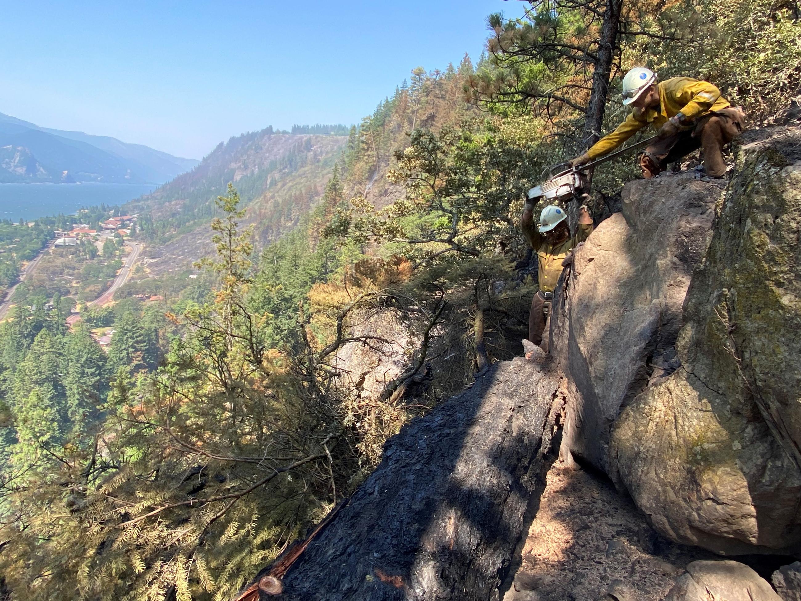 Firefighters working on a steep cliff to extinguish a burned out tree on a steep cliff.