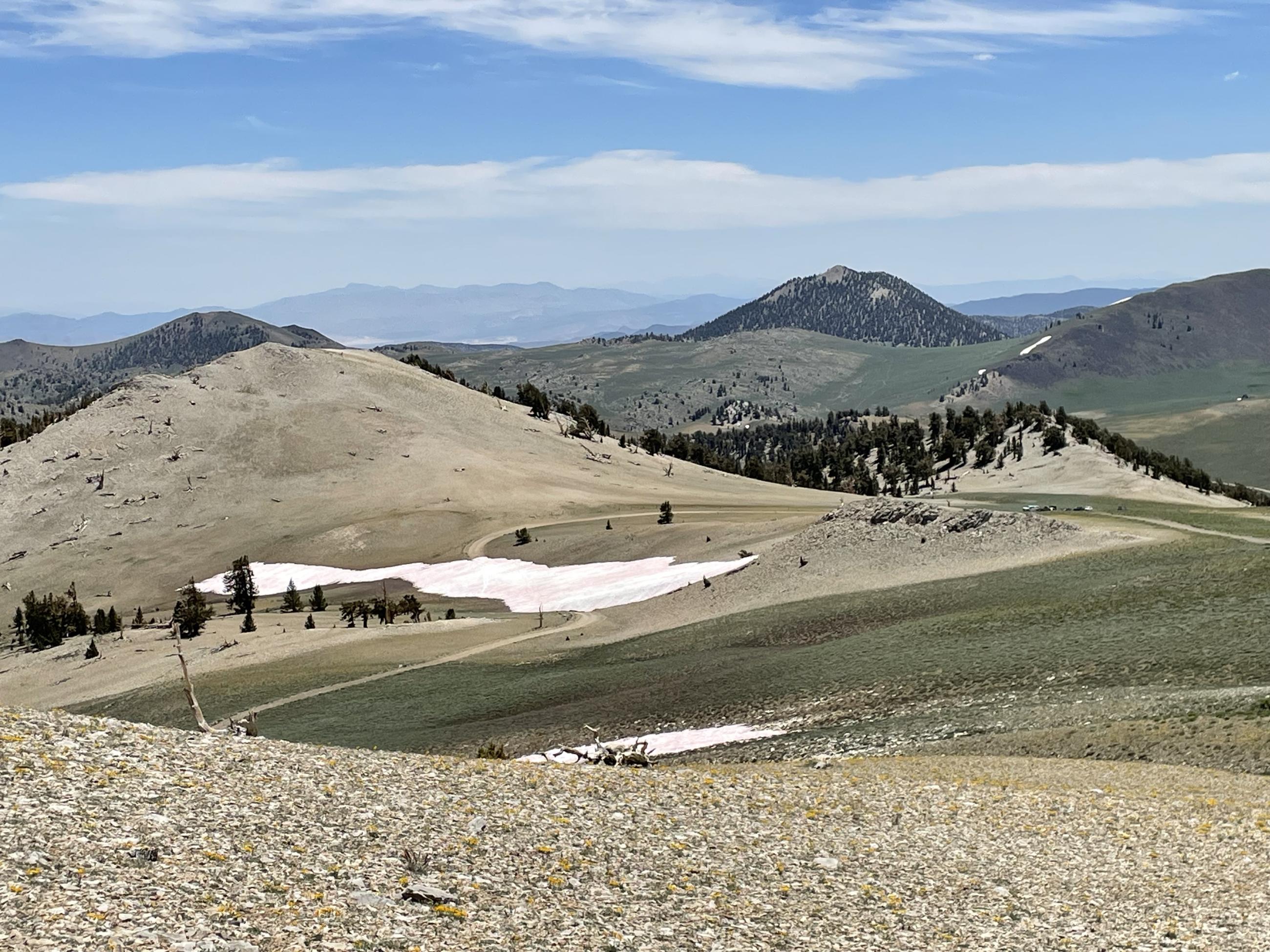 Image showing a large snow drift across Patriarch Road