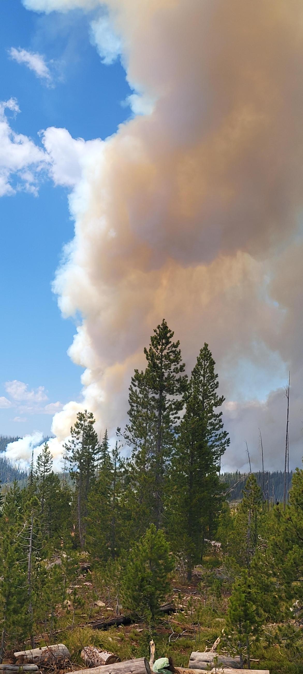 Picture of rising smoke column on the Bowles Creek Fire in the Skalkaho Pass area.