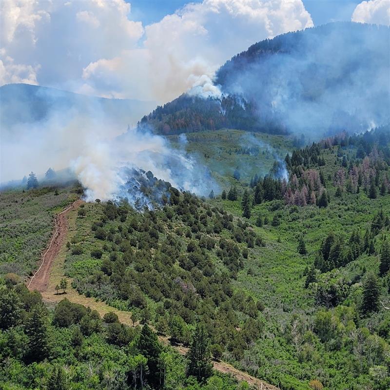 firefighters remove vegetation with fire between edge of fireline and edge of spring creek fire