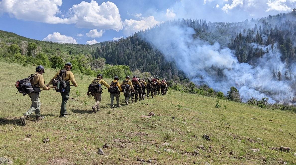 a hand crews hikes towards smoke from spring creek fire
