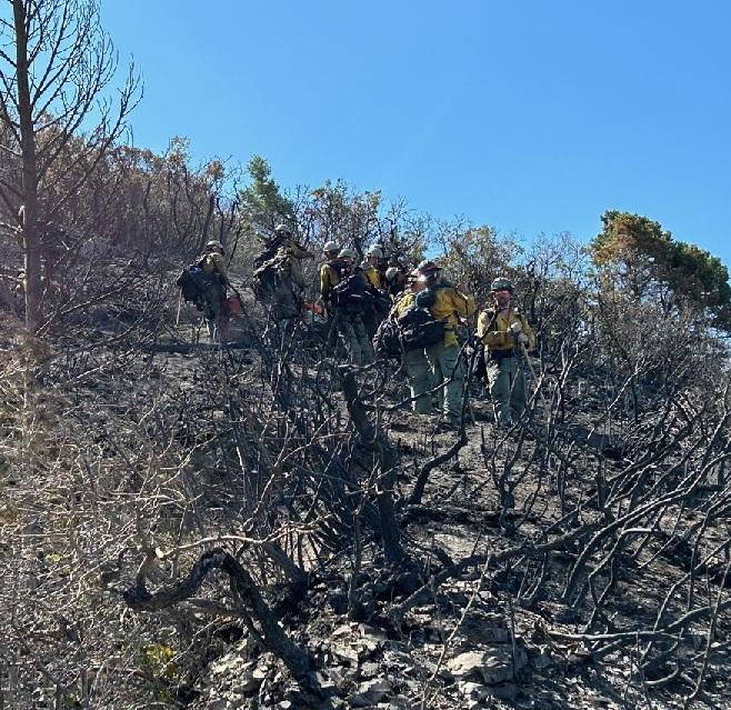 A hand crew on burned steep slope