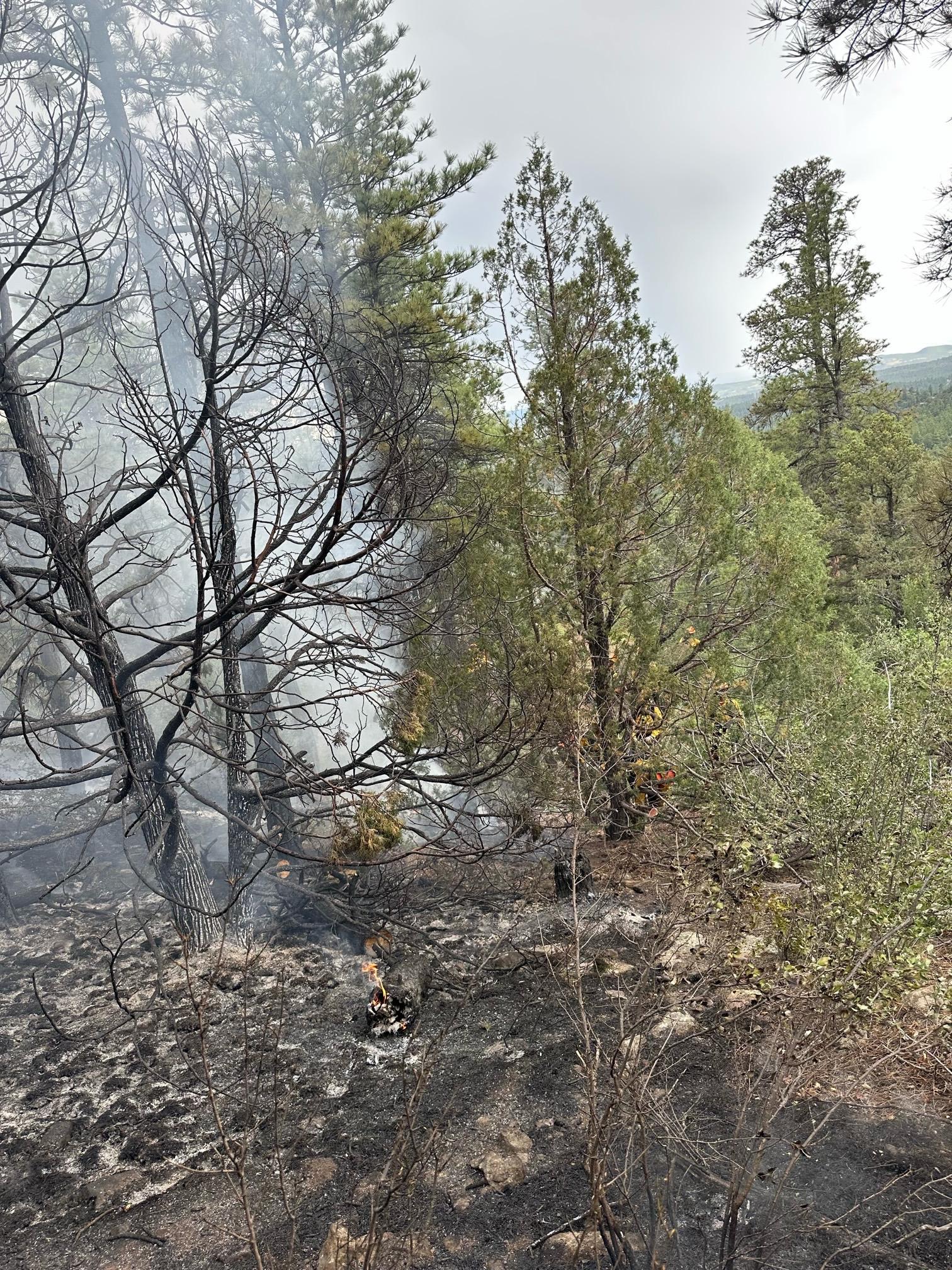 Fire fighters are constructing fire line along the fire perimeter