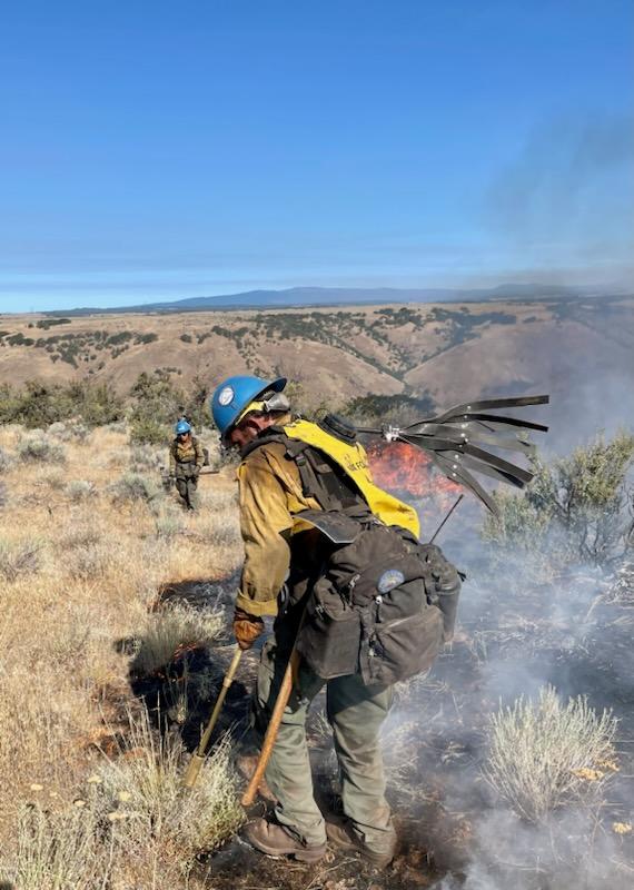 Newell Road Fire - Prineville Hotshot Crew July 24