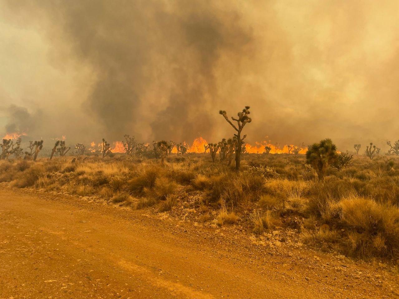 Flames on the York Fire. 7-29-23