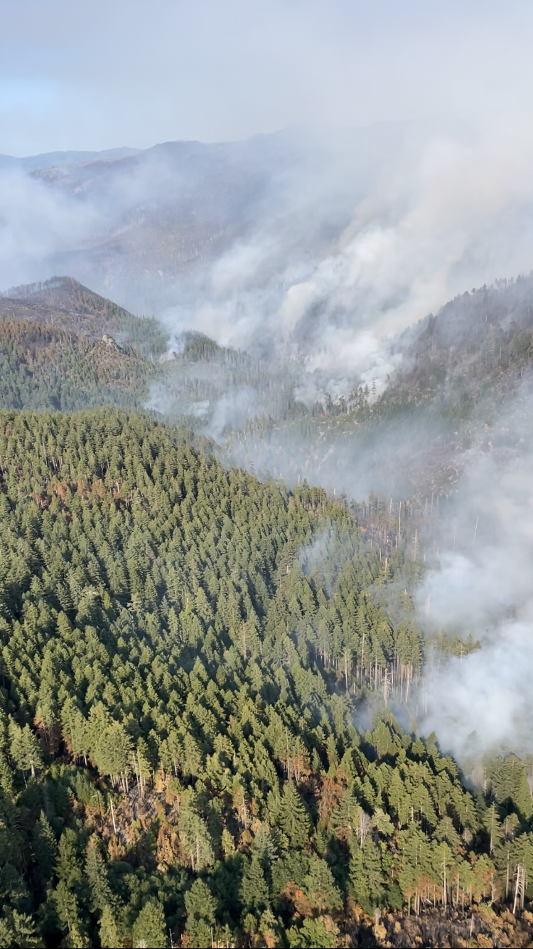 Forested valley with fire and smoke