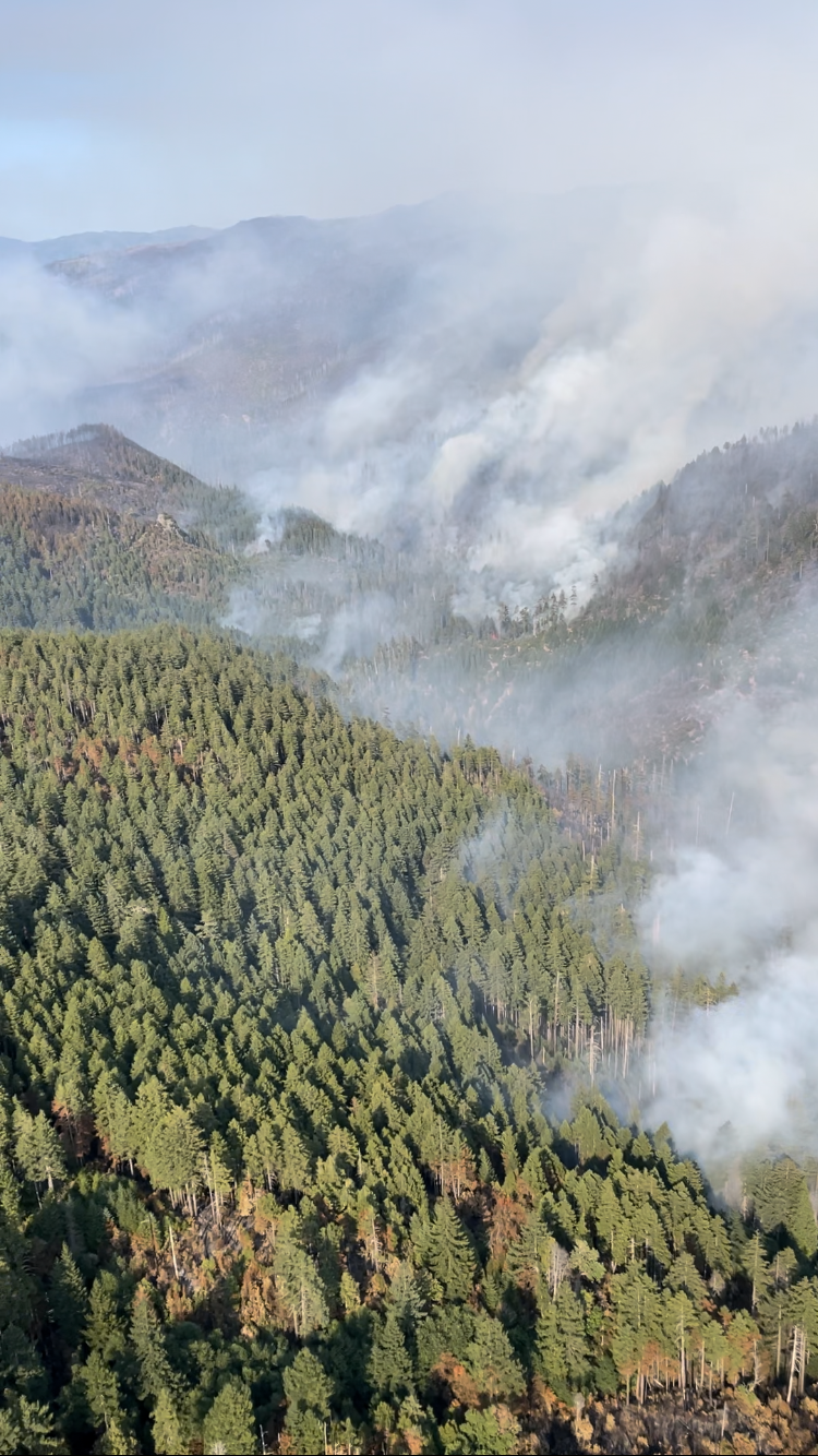 Forested valley with fire and smoke 