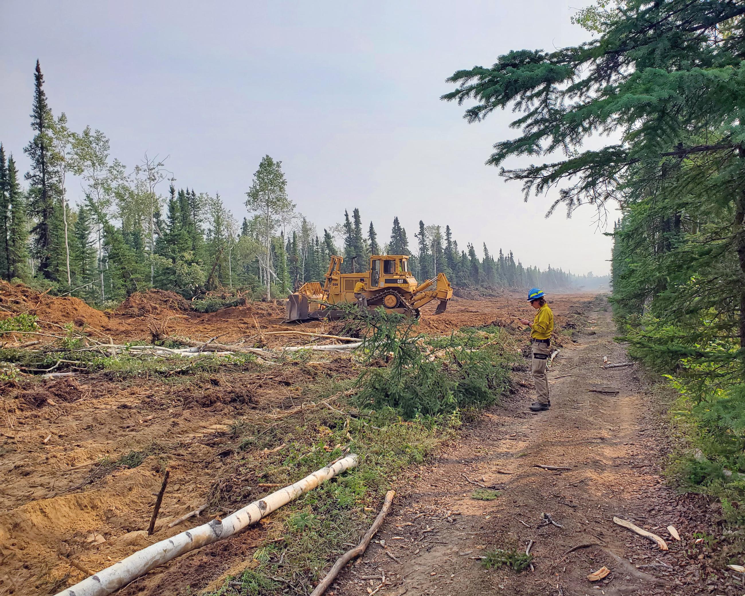 A resource advisor dressed in yellow shirt and brown pants off to the right side of the image assess and records information about the fuel break being constructed by the heavy equipment in the center of the frame. Vegetation has been removed to the soil down the center of the image.