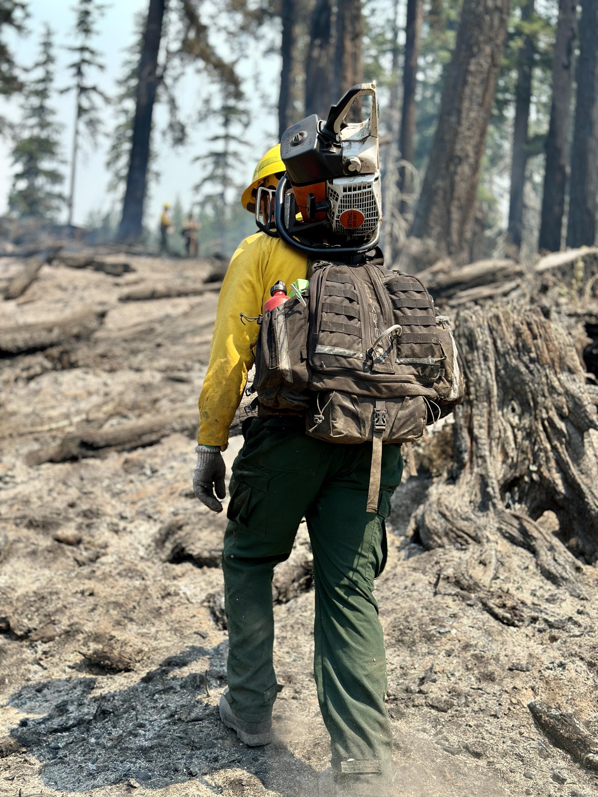 A tree feller hikes up a ridge with a chainsaw on his shoulder.