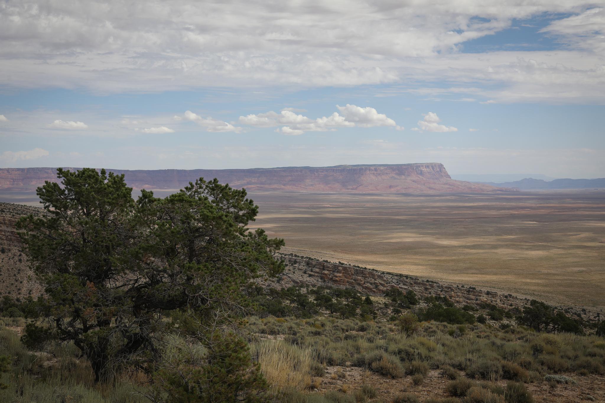 landscape in the Kane Fire area shows distant bluffs and low vegetation in the foreground