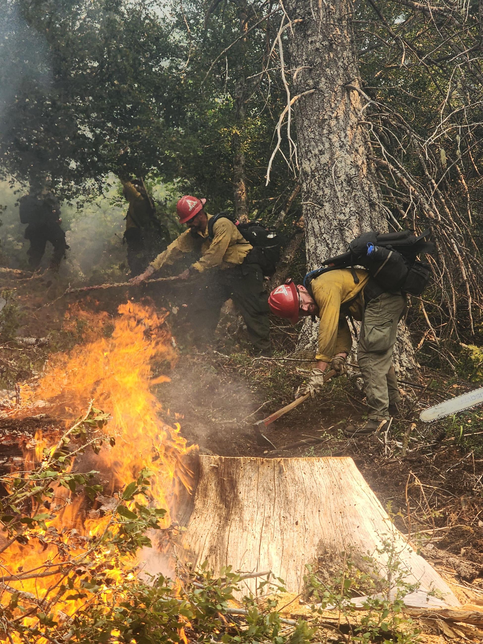 Fire line construction Hurdy Gurdy Fire, August 29