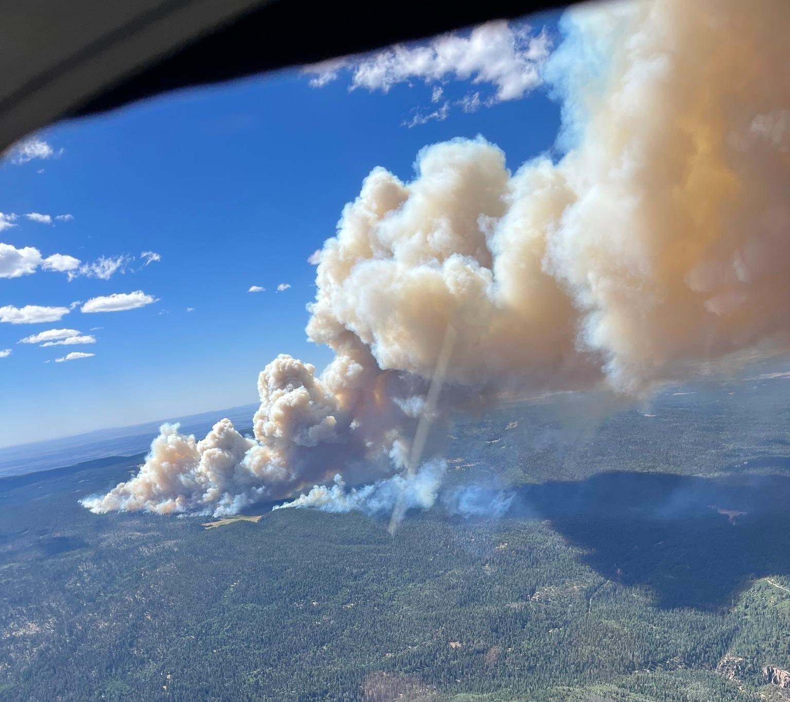 smoke column billowing from the forest below.