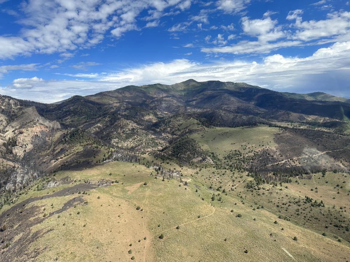 Aerial view of the Thompson Ridge Fire Aug. 19, 2023