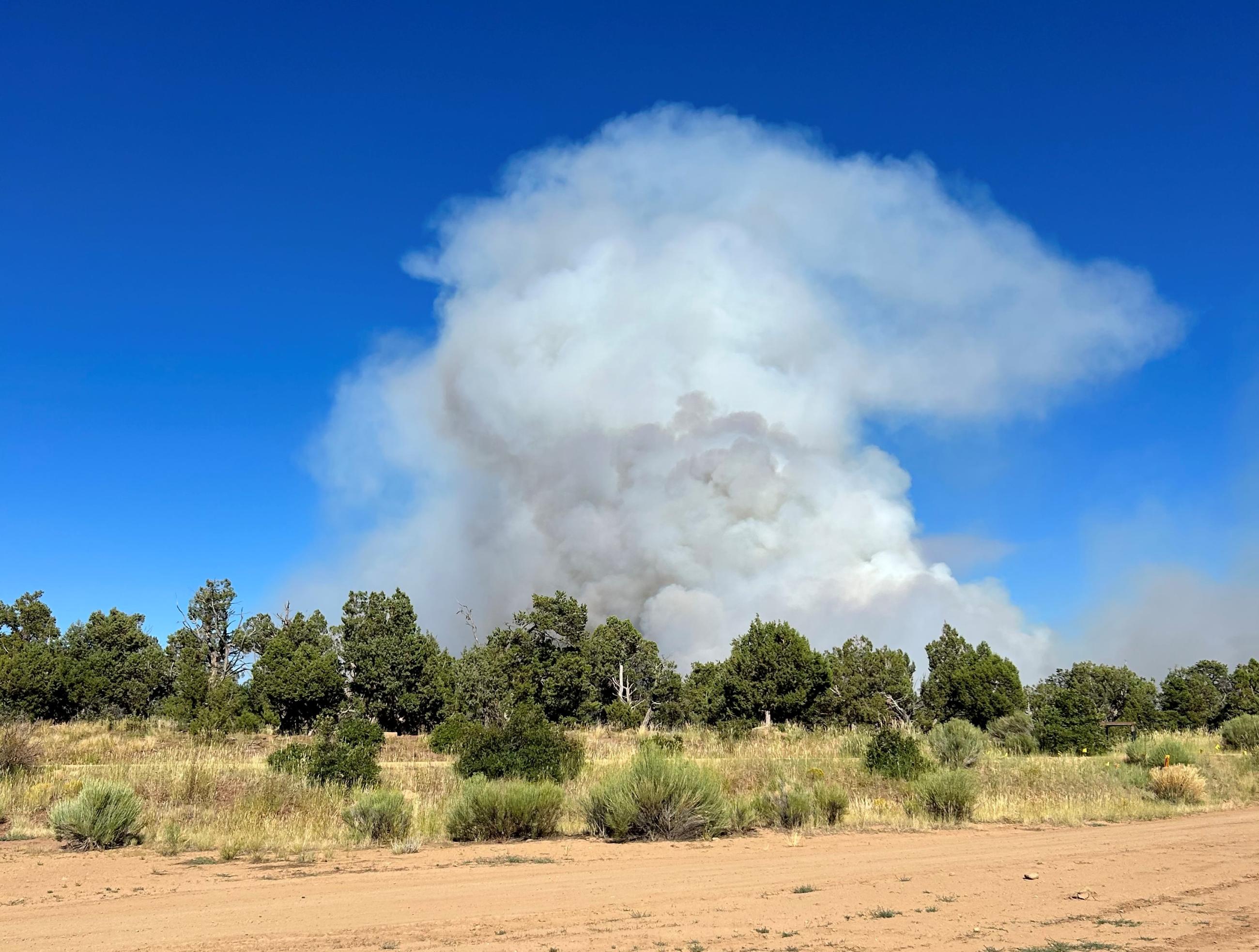 A smoke plume rises from a pinon-juniper forested area