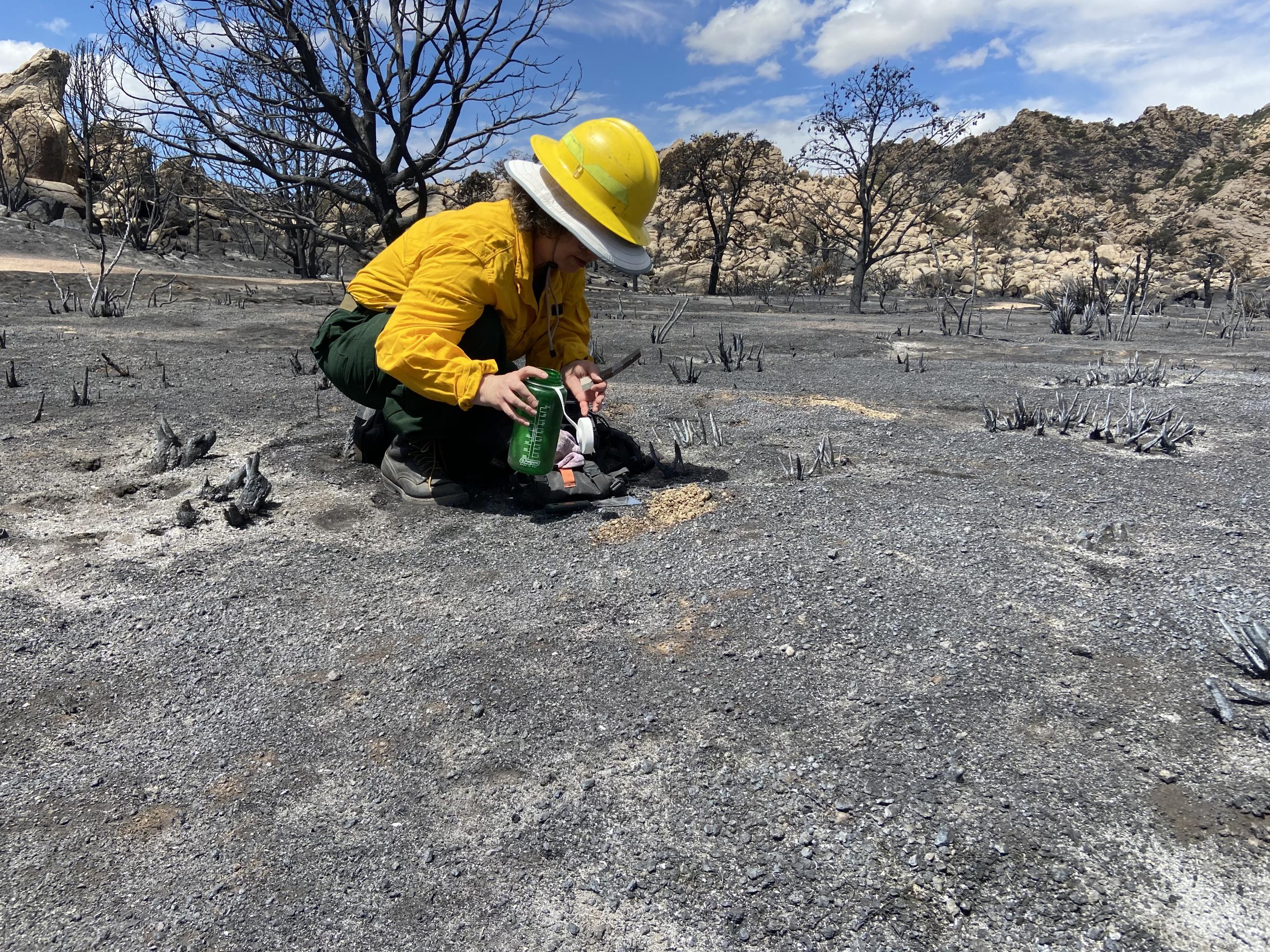A hydrologist surveys soil hydrophobicity in a burned area of the York Fire