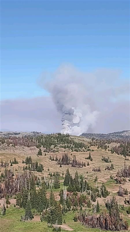 A plume of smoke with a forested foreground.