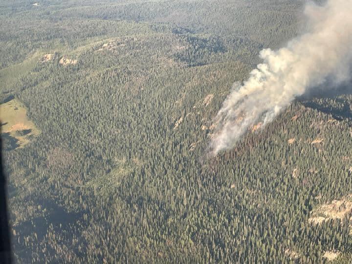 Aerial view of the Ben Harrison Fire showing a column of smoke in timbered terrain.