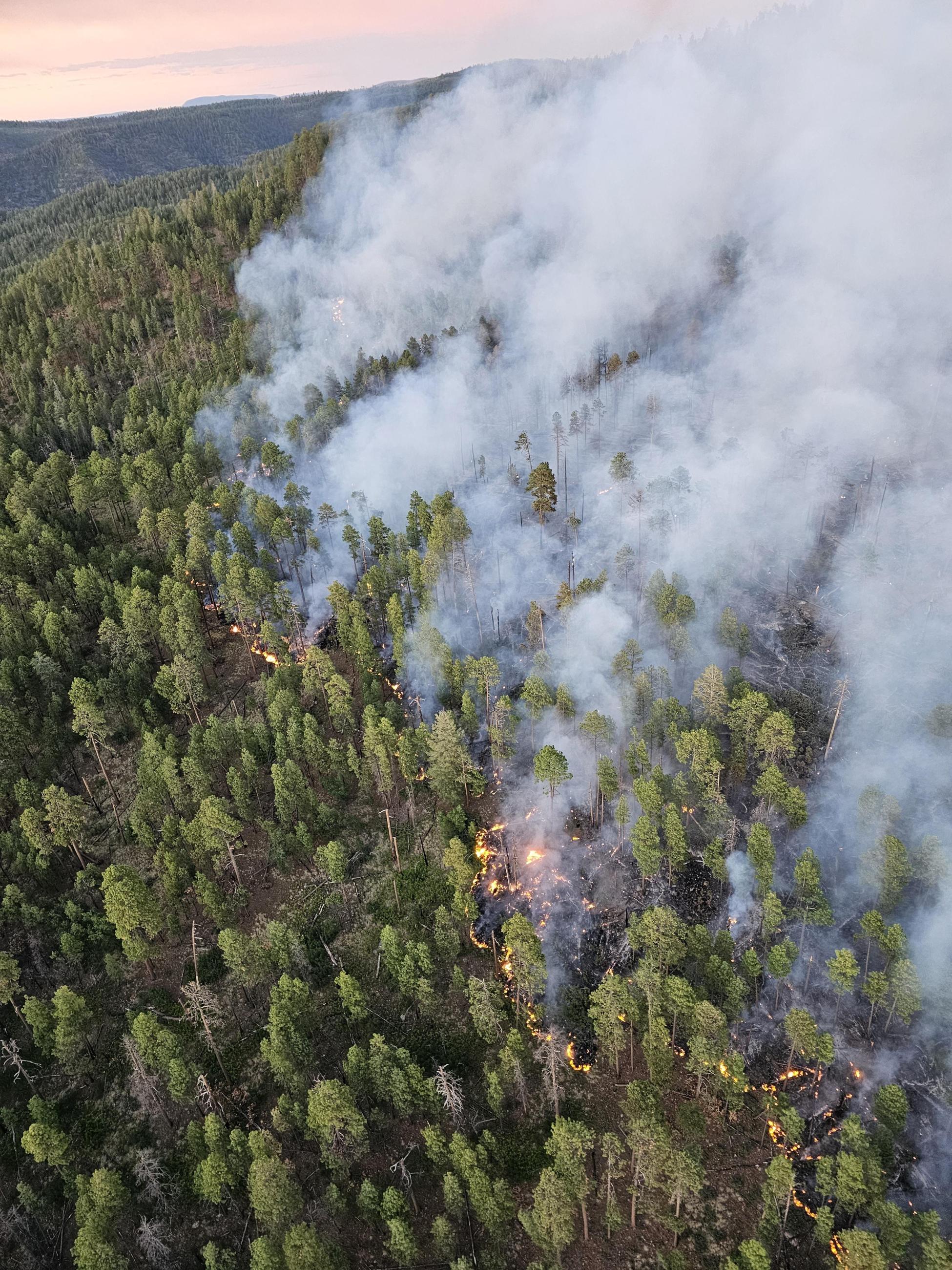 Black River Complex Aerial Shot 2