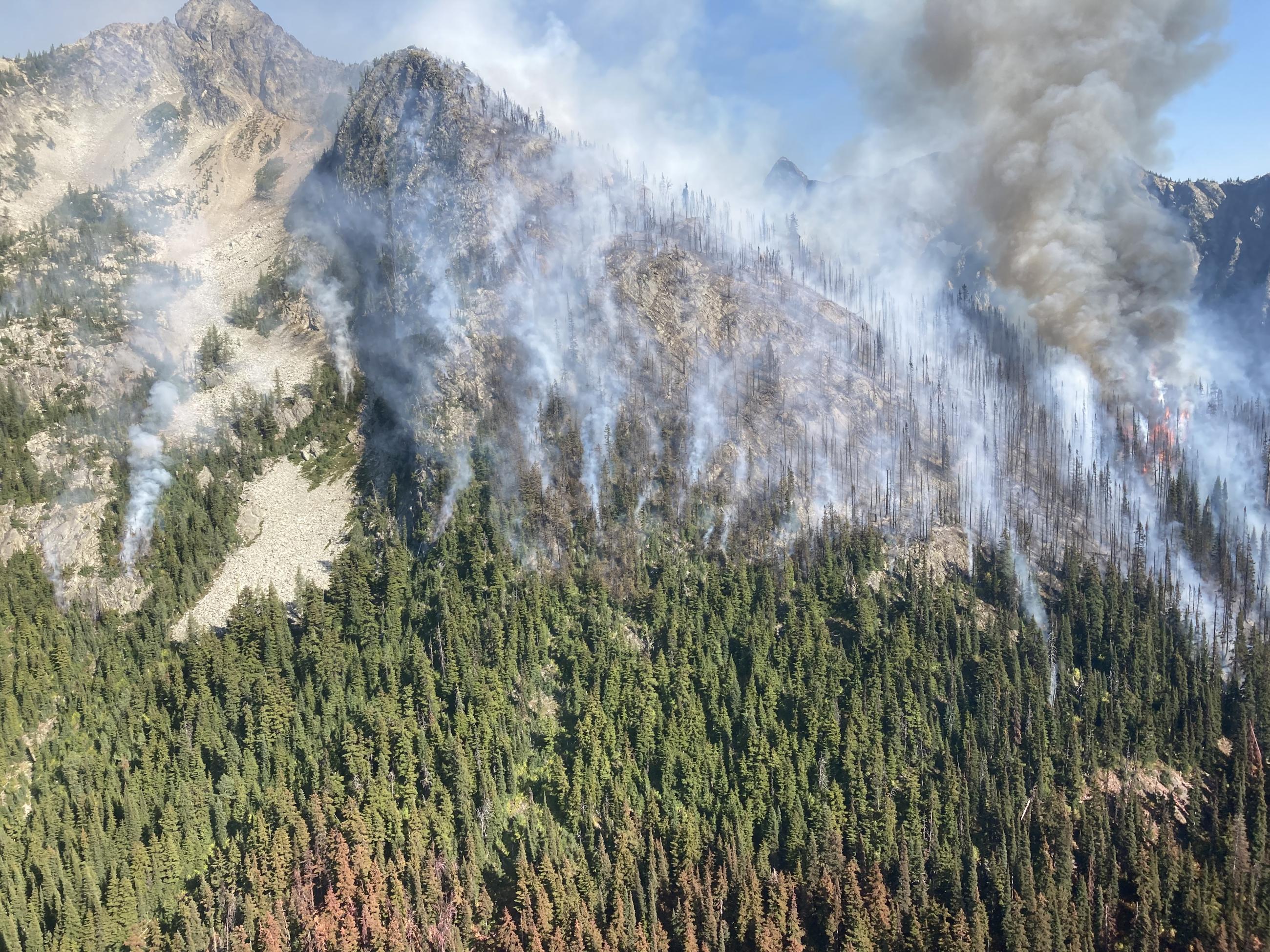 Smoke lifts from a forested hillside.