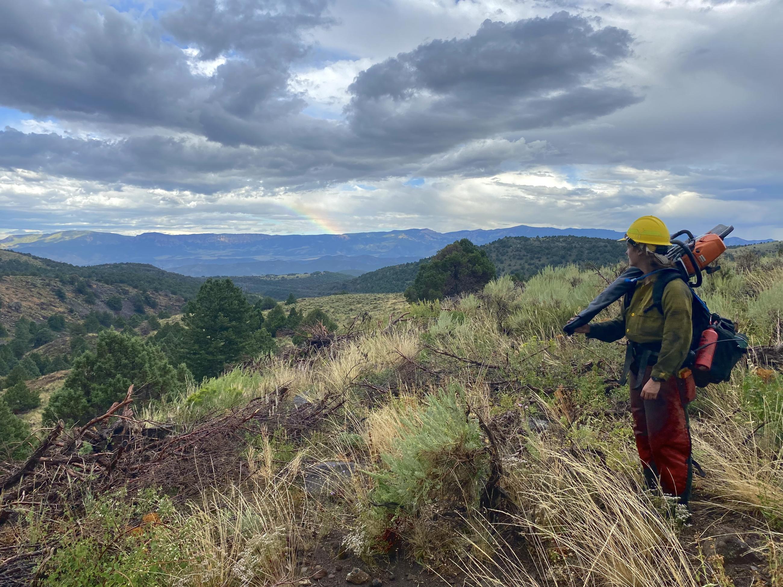 Firefighter with saw gazes across the sagebrush landscape
