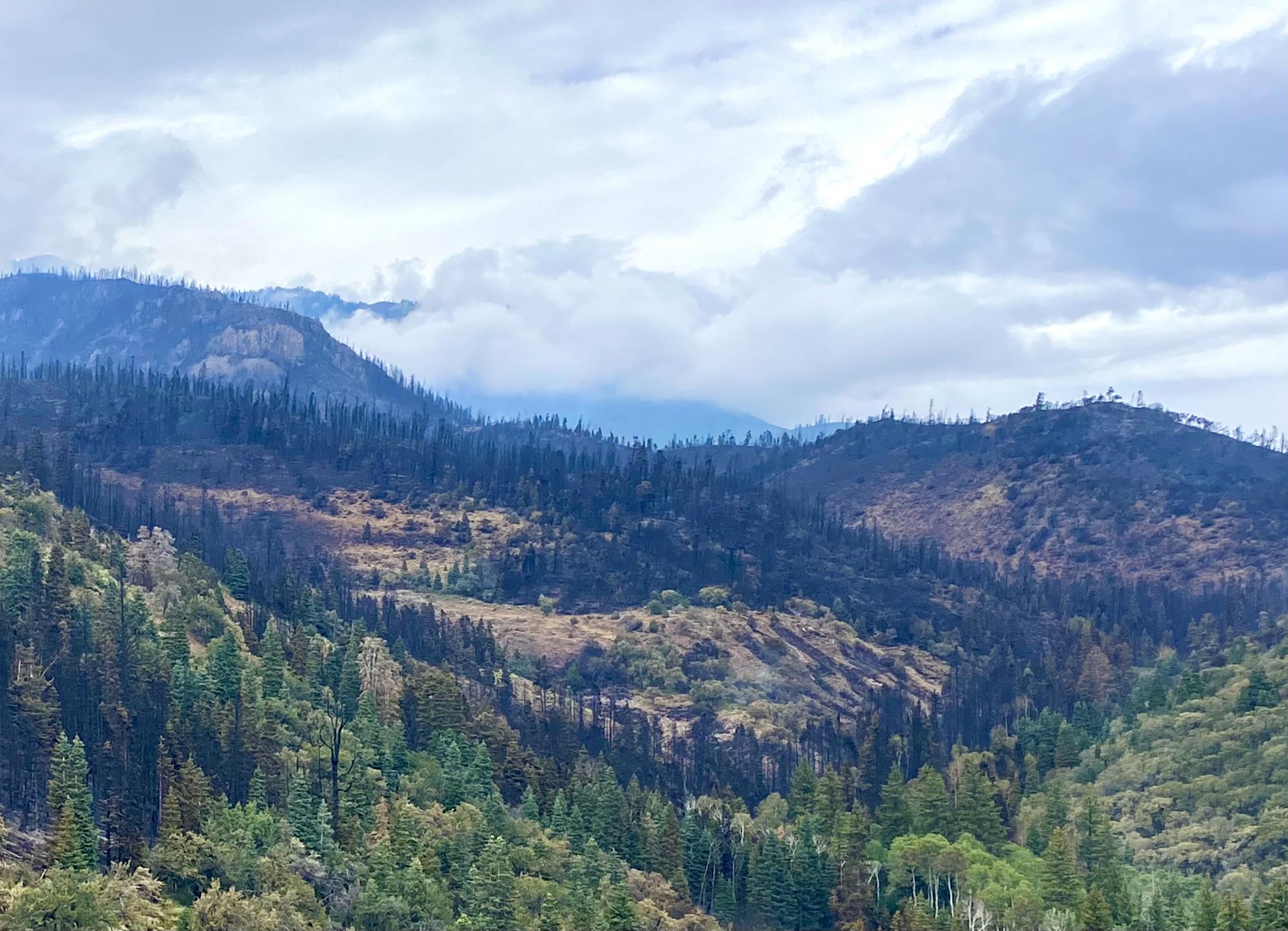 landscape view of the southwest edge of the Thompson Fire