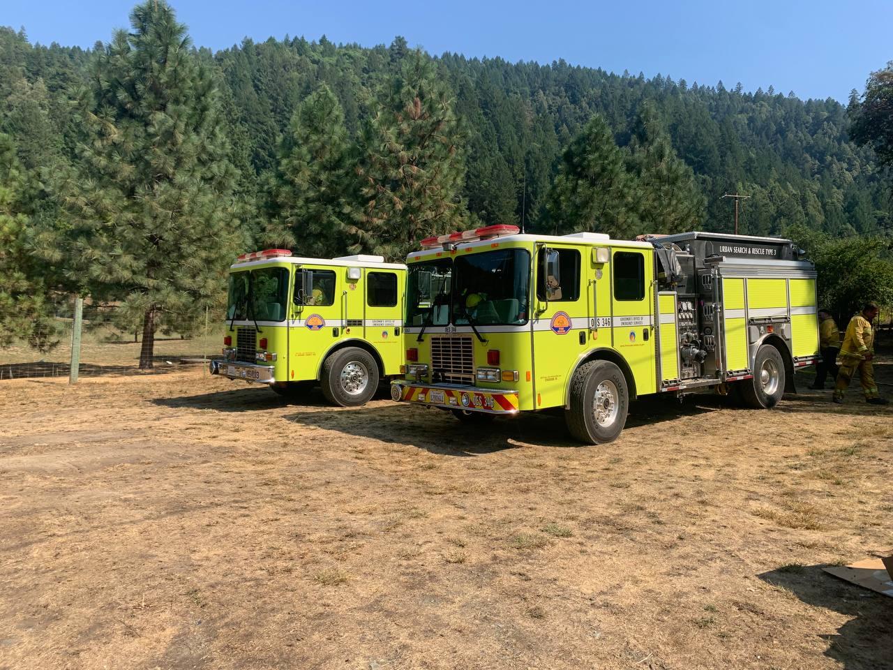 Two lime green fire engines parked in a field of dry grass with pine trees in the backgroun