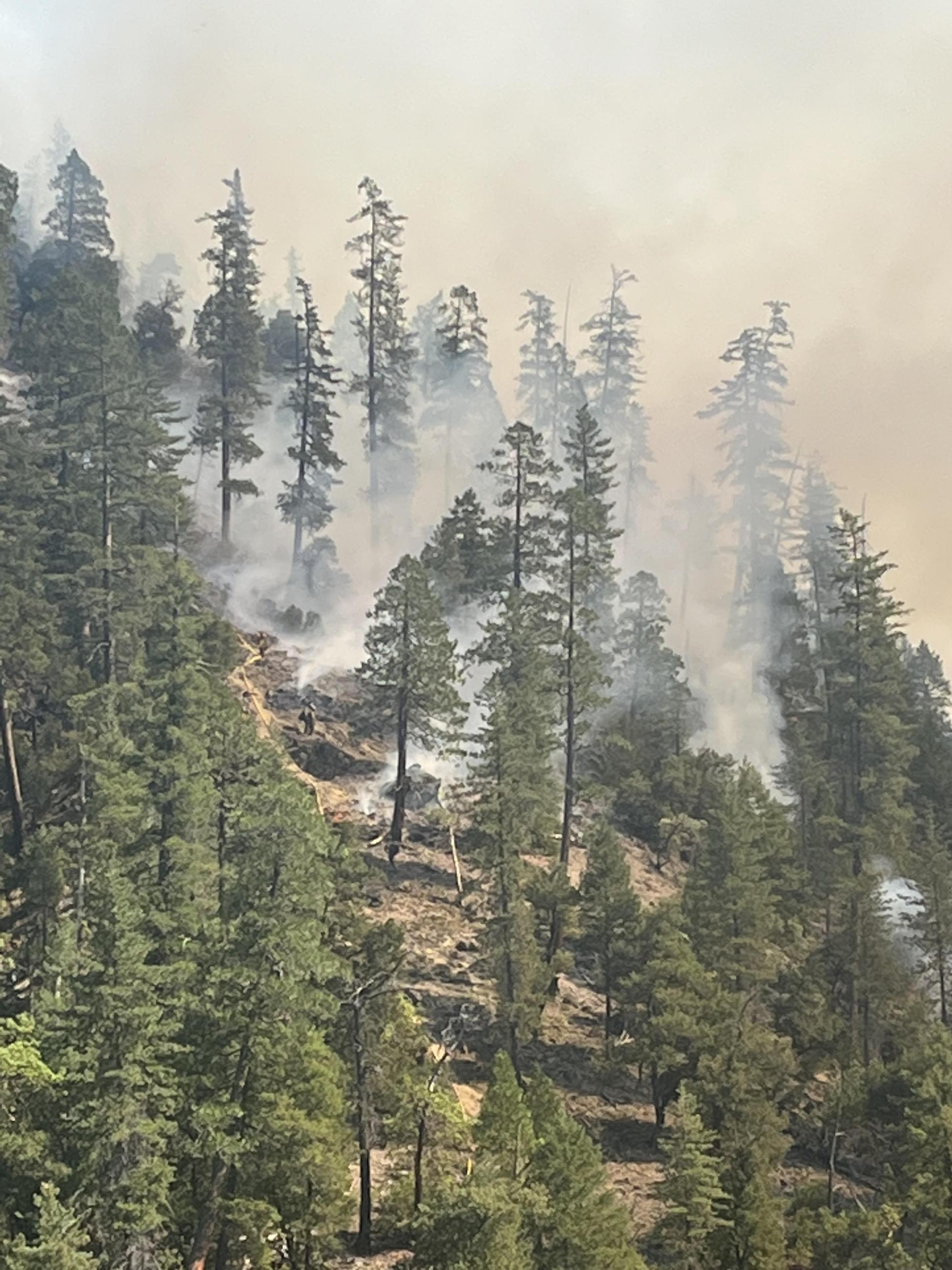 Image of smoke between the trees along a line with hose on a steep hillside. Photo USDA Forest Service courtesy K. Julian