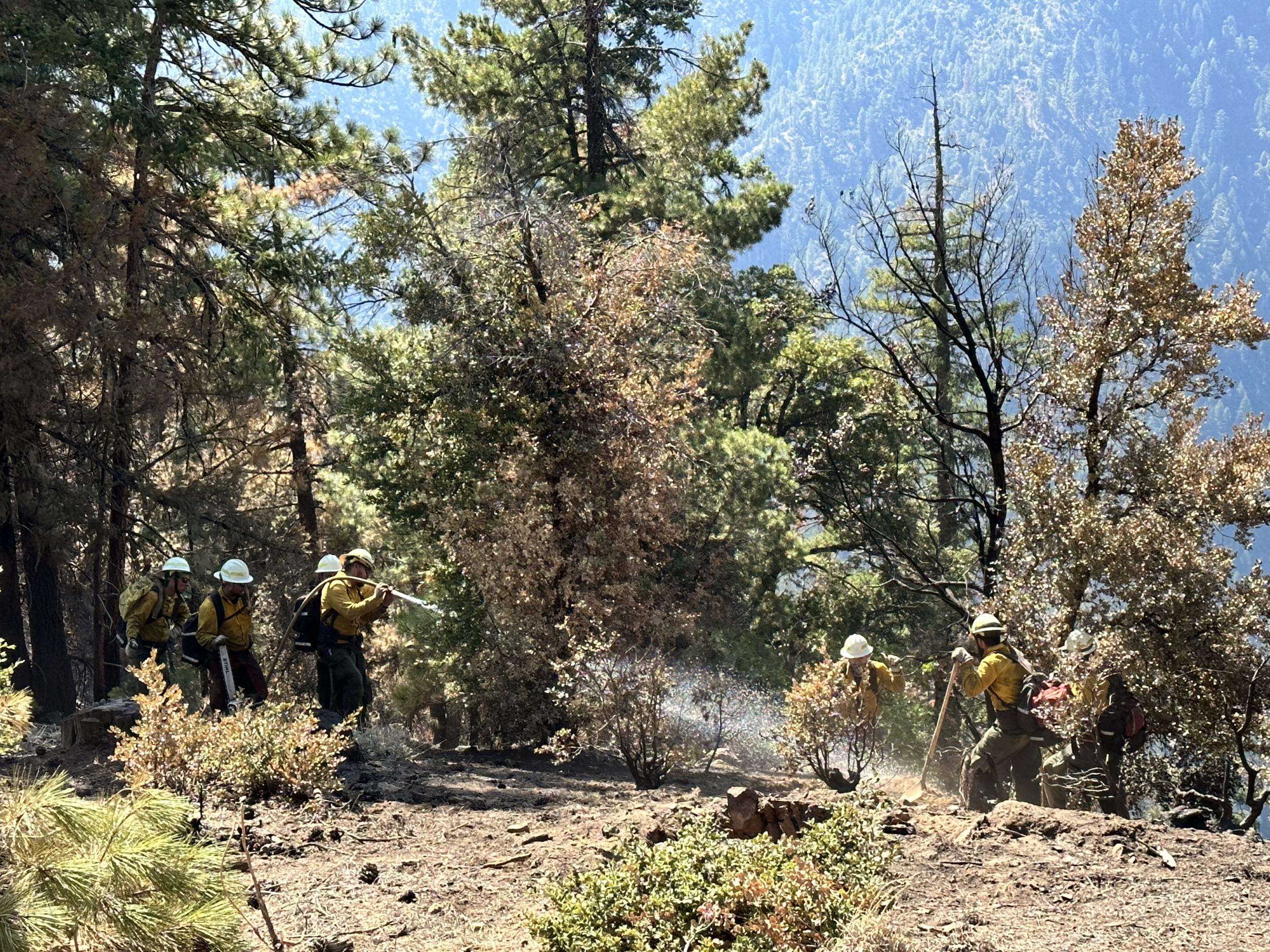 Image of firefighters with a hose spraying water on a burned area to make sure the fire is completely out. Photo USDA Forest Service courtesy Martin Lopez