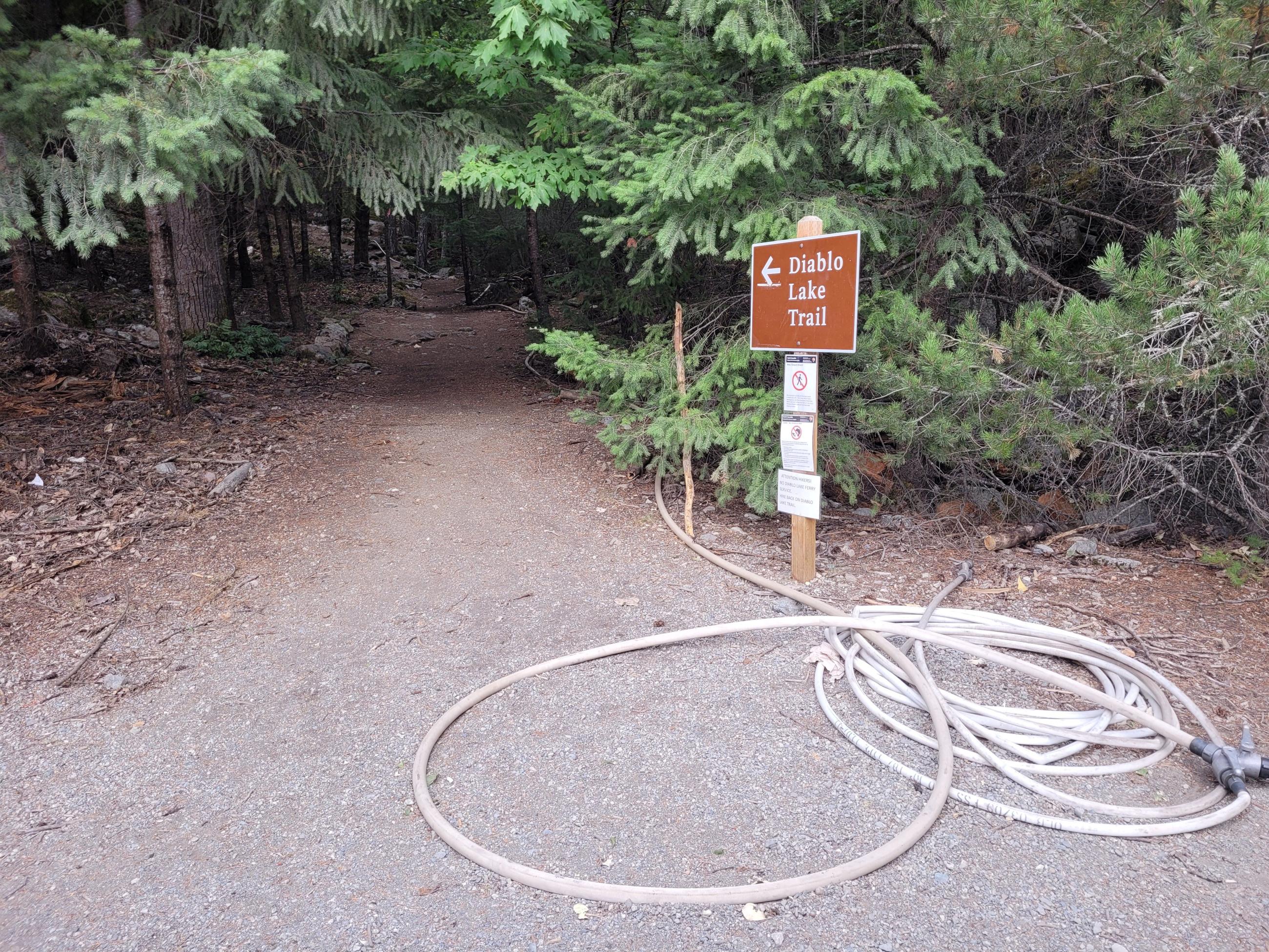 A trail sign that reads, "Diablo Lake Trail" can be seen with a thin hose around it and lining the rest of the trail in the background