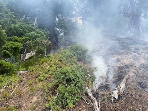 Smoldering ground fuels in steep terrain on Hurricane Fire 