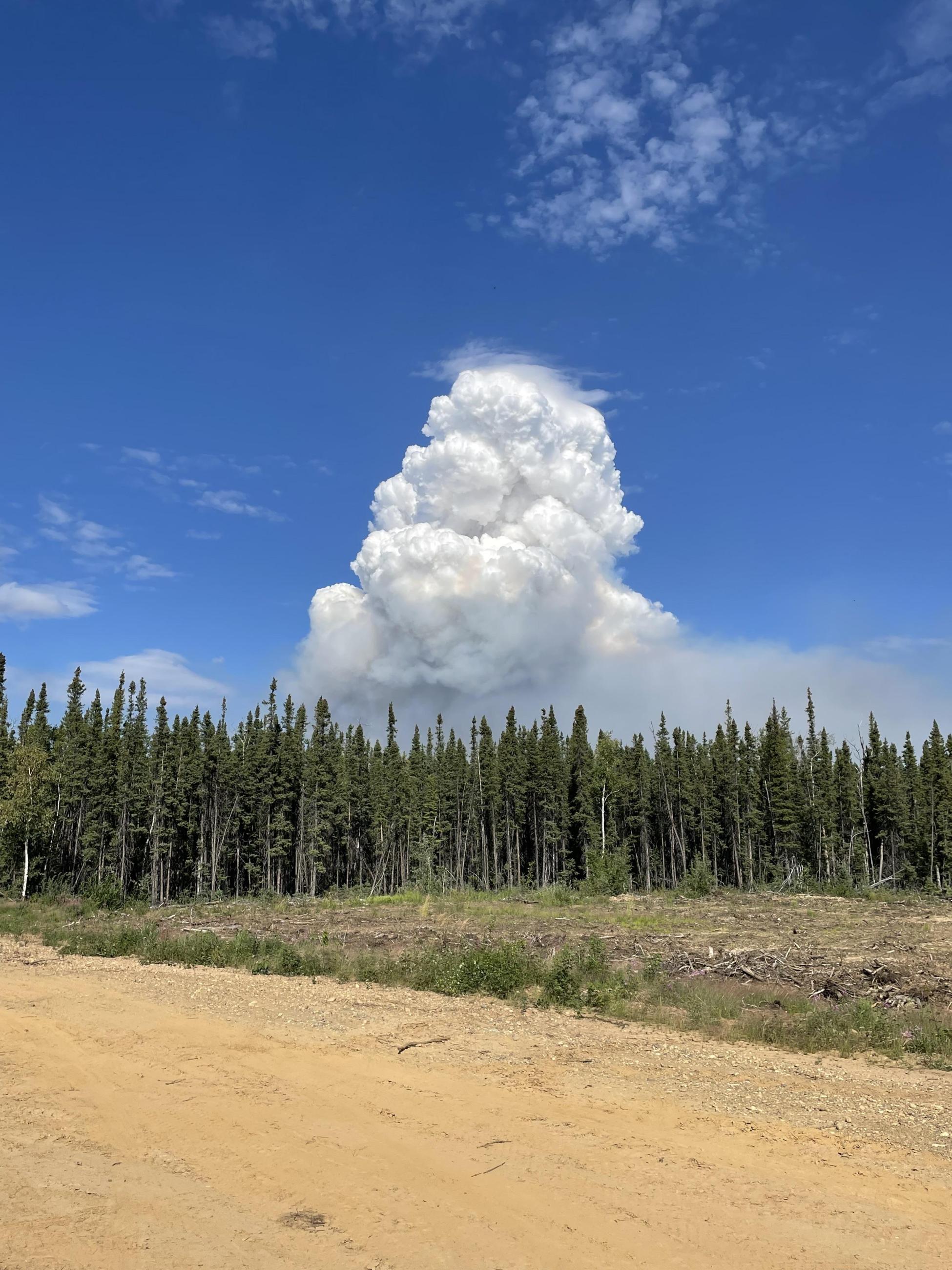 Afternoon smoke column on the Anderson Complex