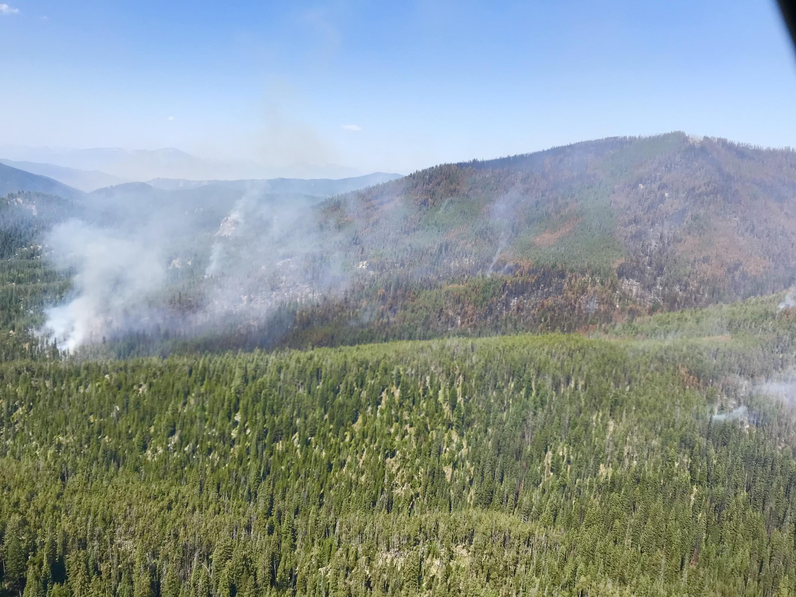 Bowles Creek Fire - mosaic nature of fire spread
