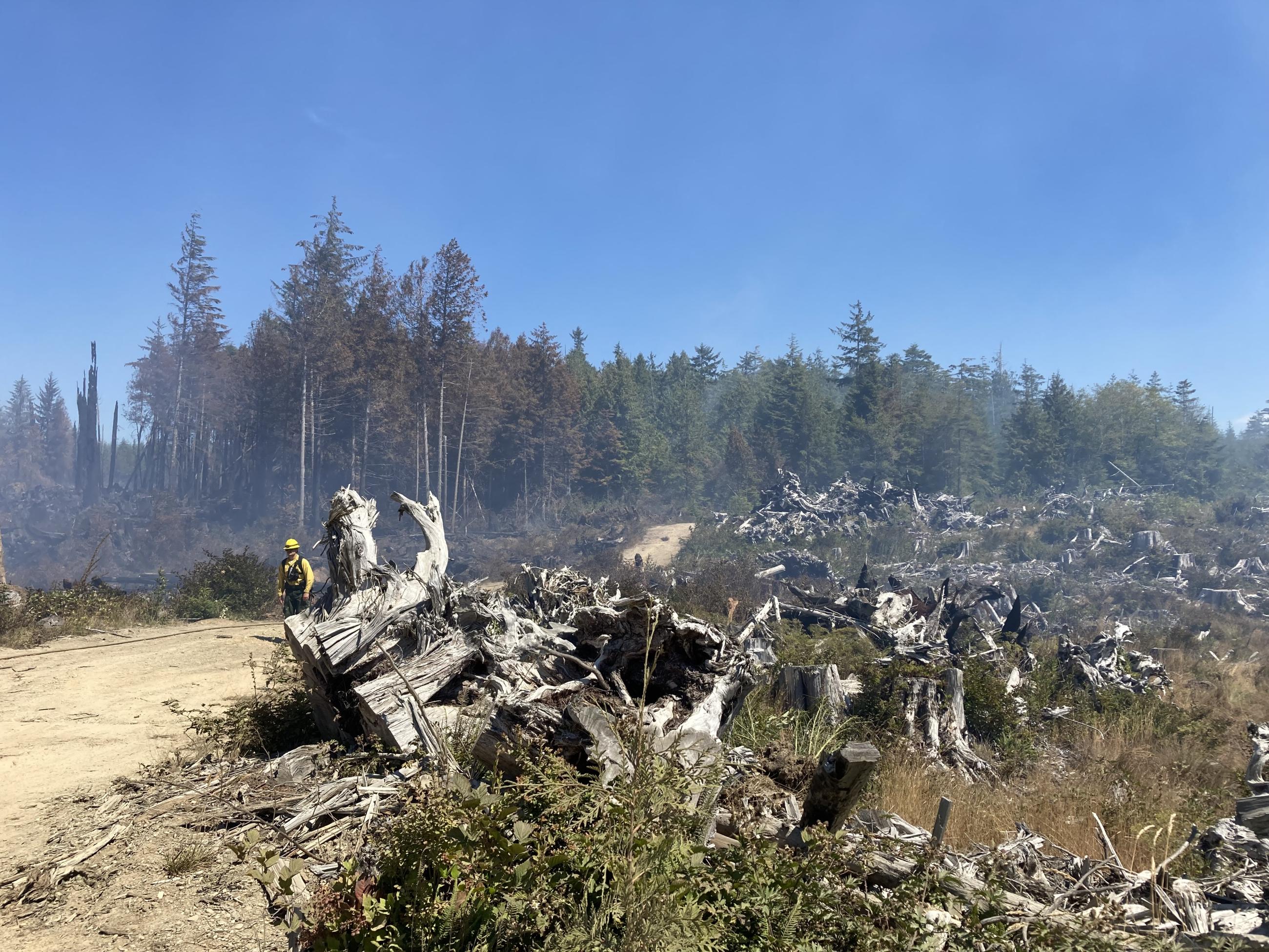 Waqnt Margarita Fire Information | InciWeb