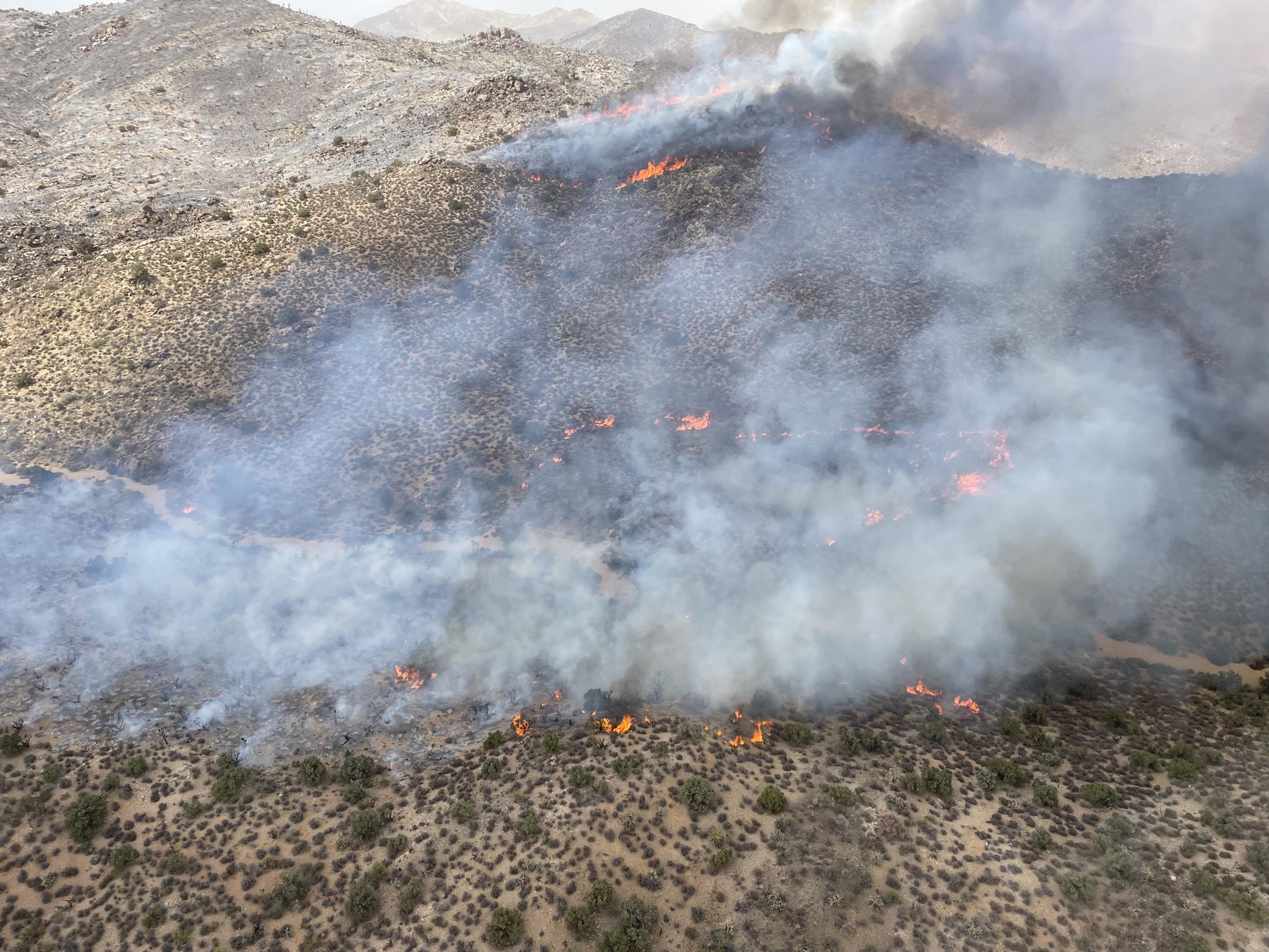 Image shows smoke and flames rising from a grassy desert hillside.