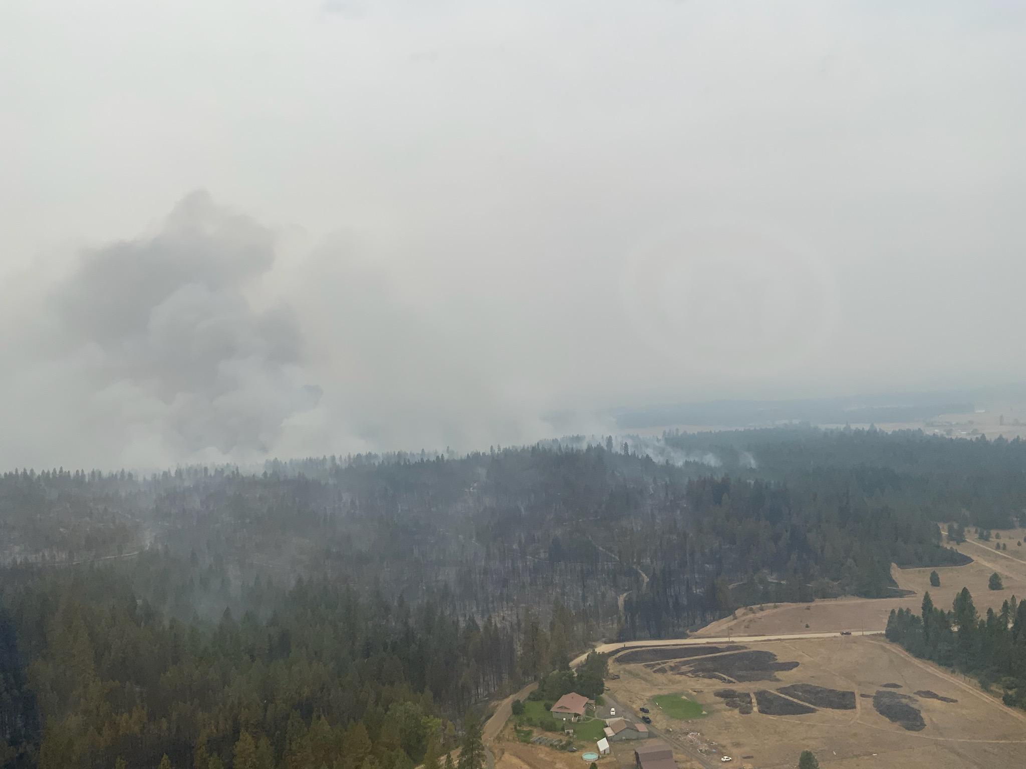 Forest land with smoke