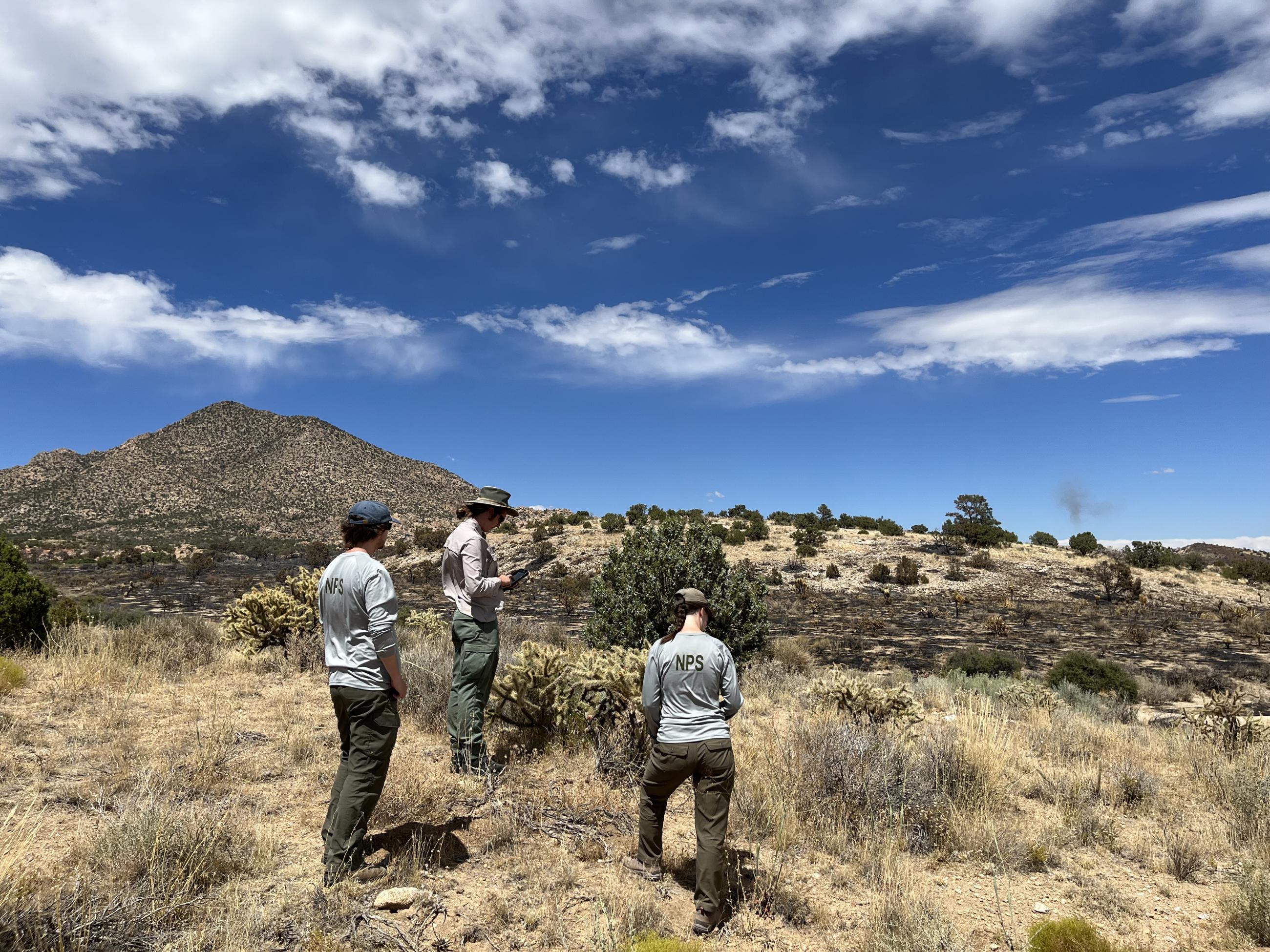 three National Park Service scientists make observations in a burnt desert area