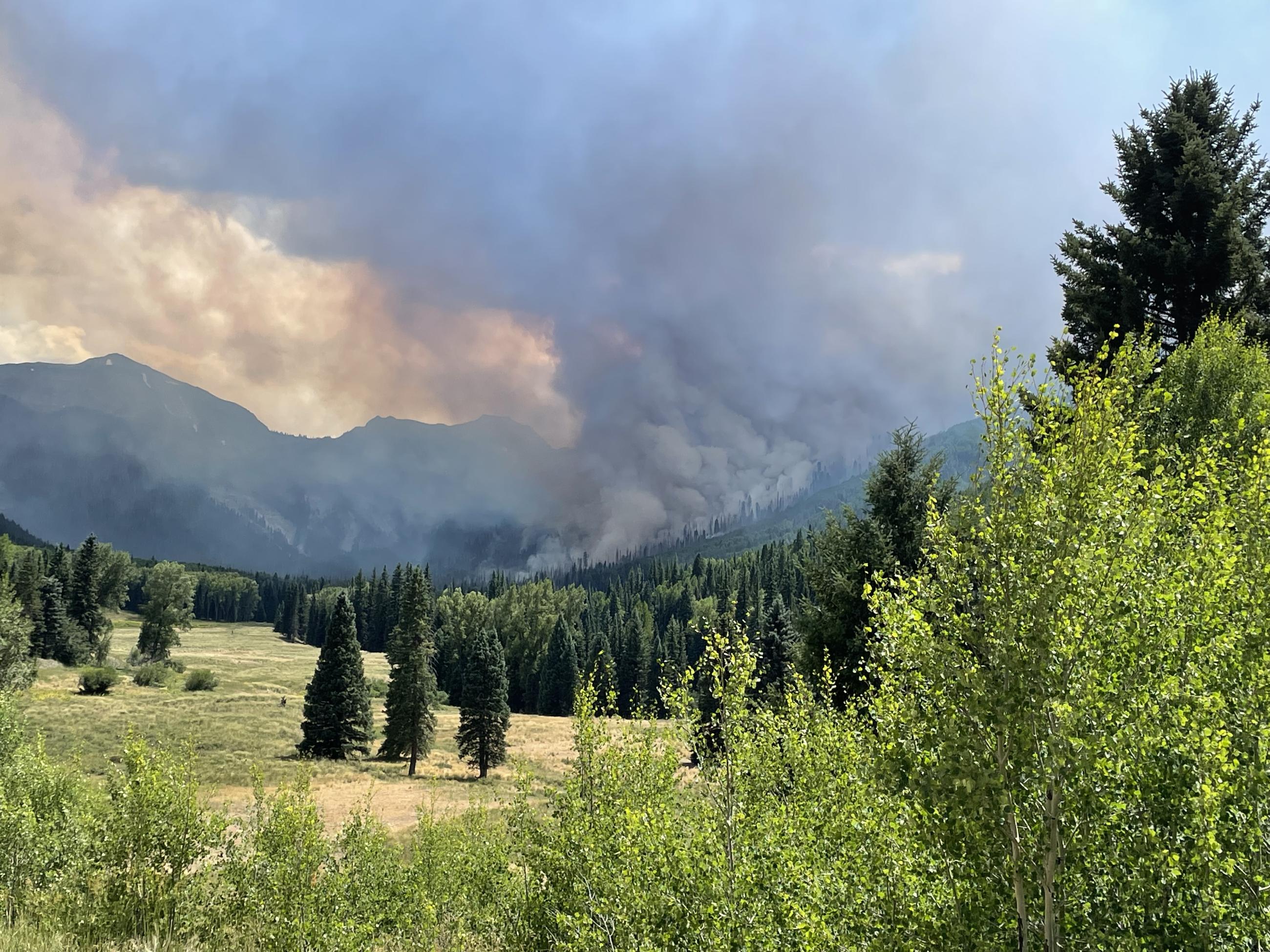 Fire burning above a meadow