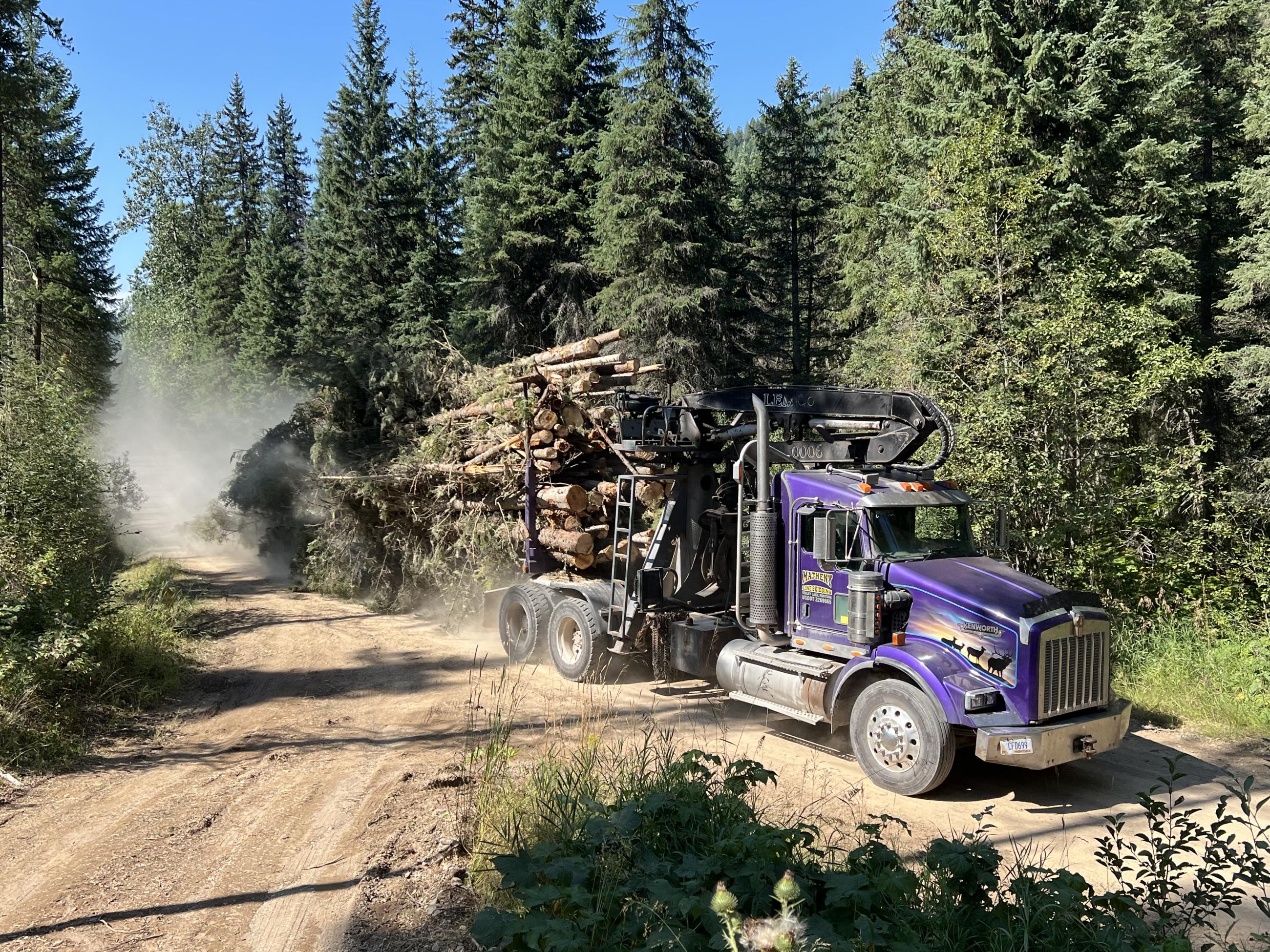 Emery Creek hauling logs shaded fuel break
