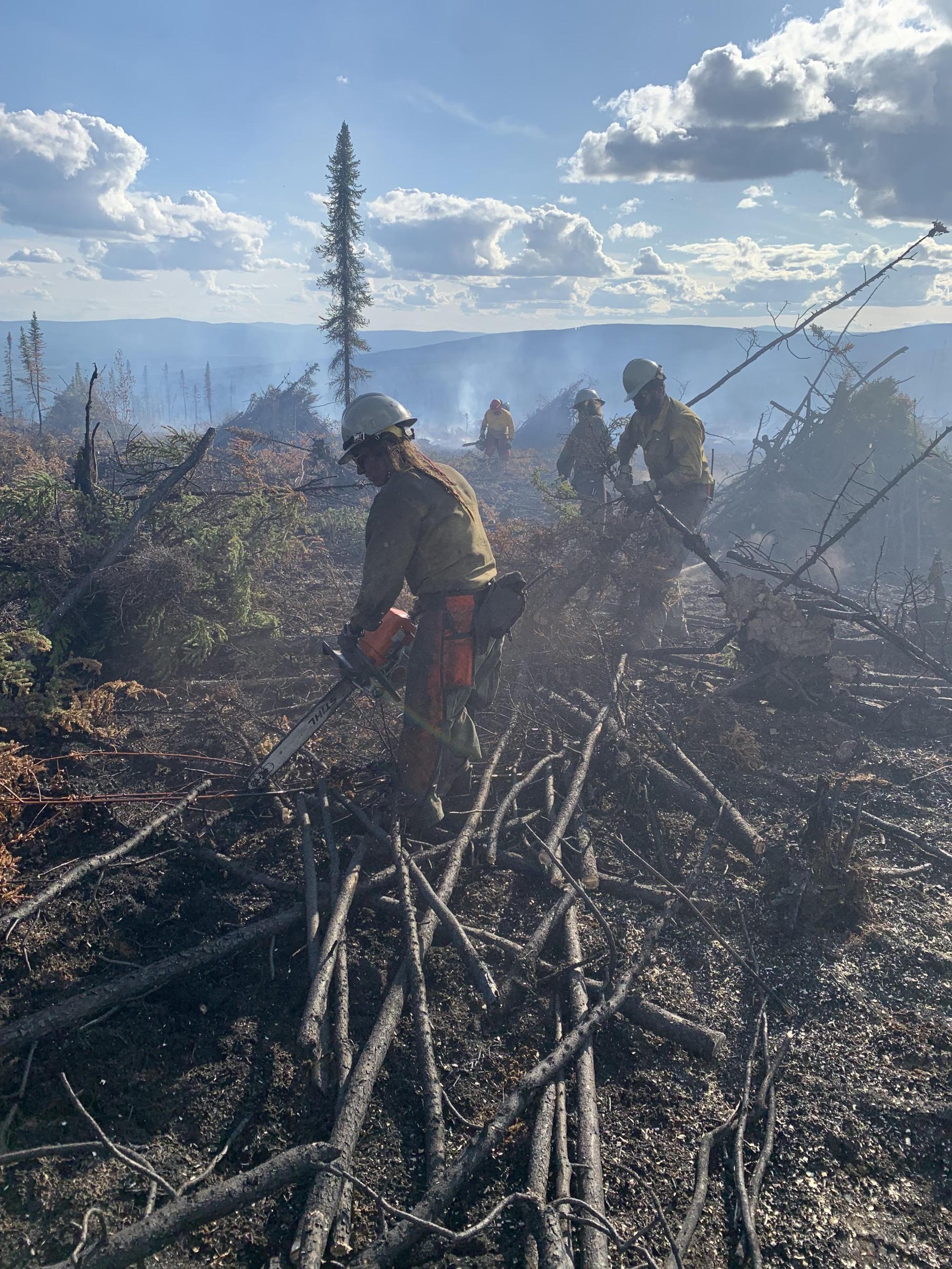 Several firefighters are working to pile limbs into piles.  In the background are piles of burning materials. 