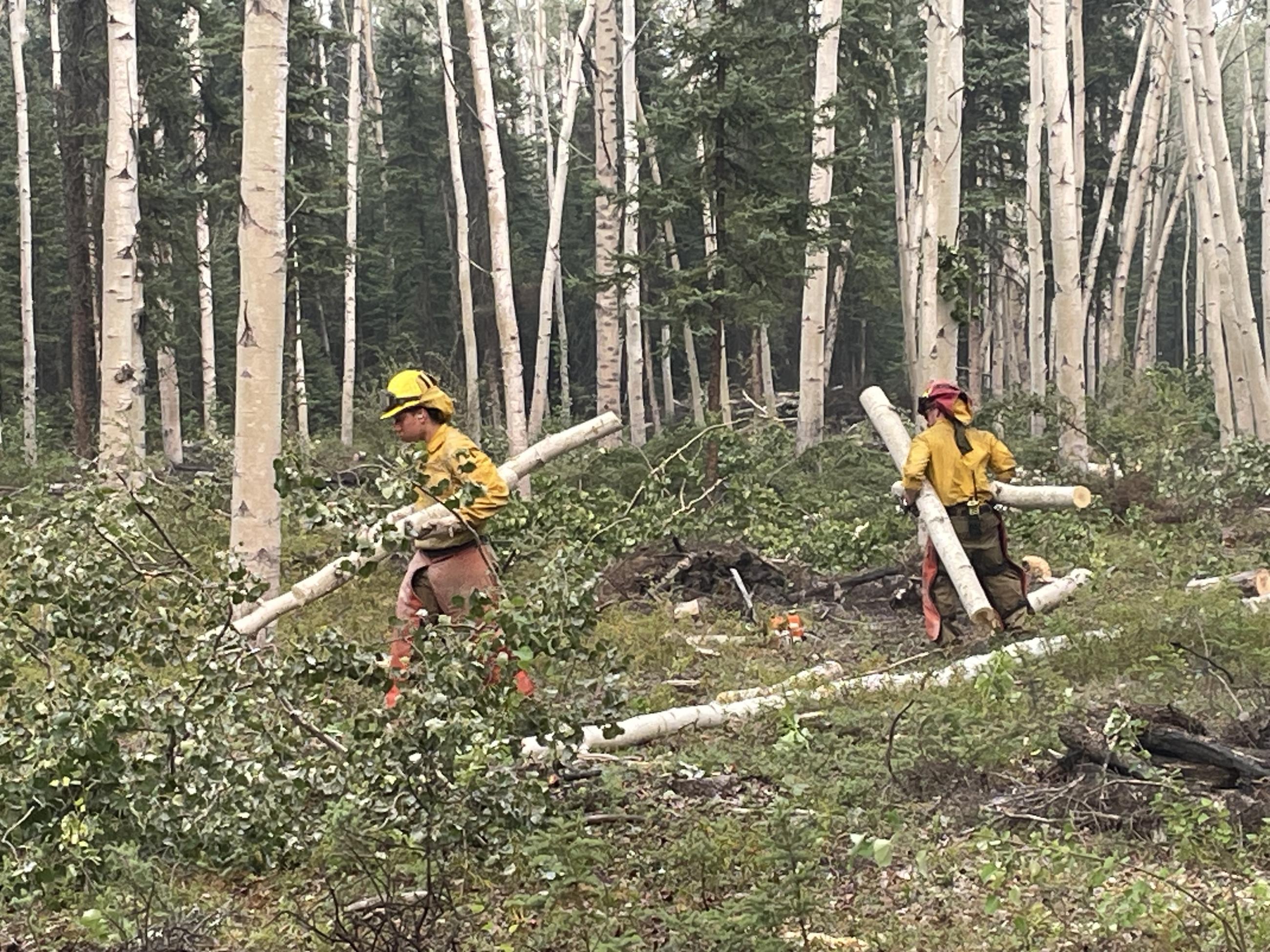 Fire crews remove vegetation from the fuel break south of the town of Anderson.