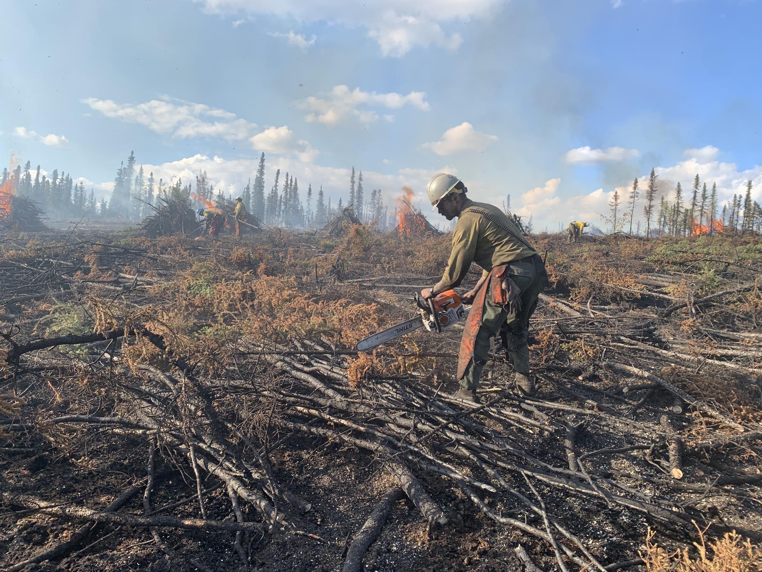 One firefighter is in the middle of the photo. They are using a chainsaw to cut limbs into shorter lengths. In the background, piles of burning vegetation can be seen.