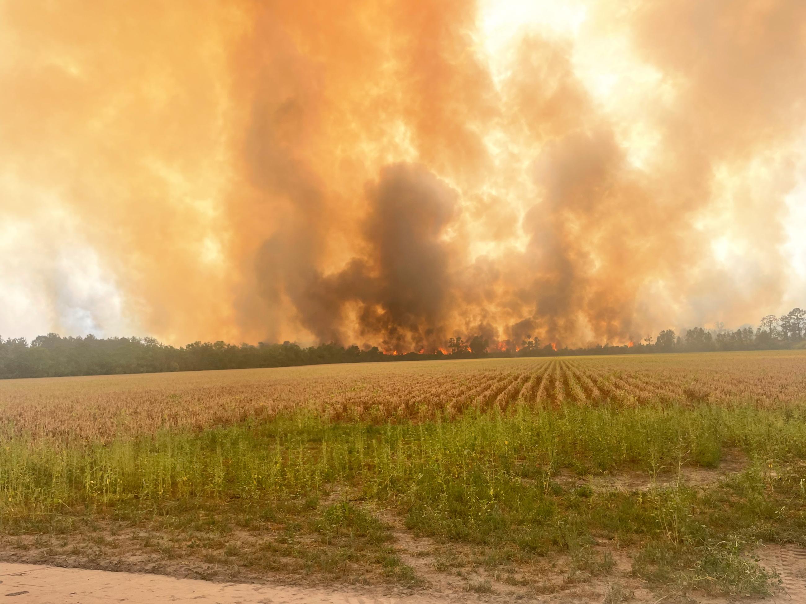 Smoke plumes rising across a green field. 