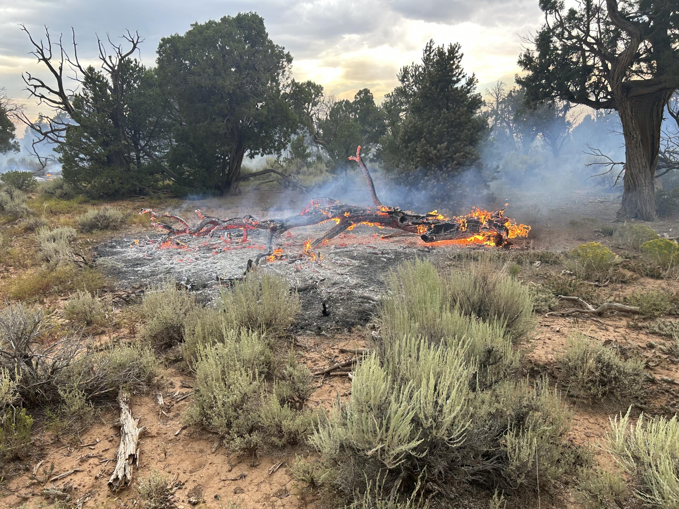Image of a dead and down tree burning with flames in a sagebrush and pinyon pine, juniper forest.