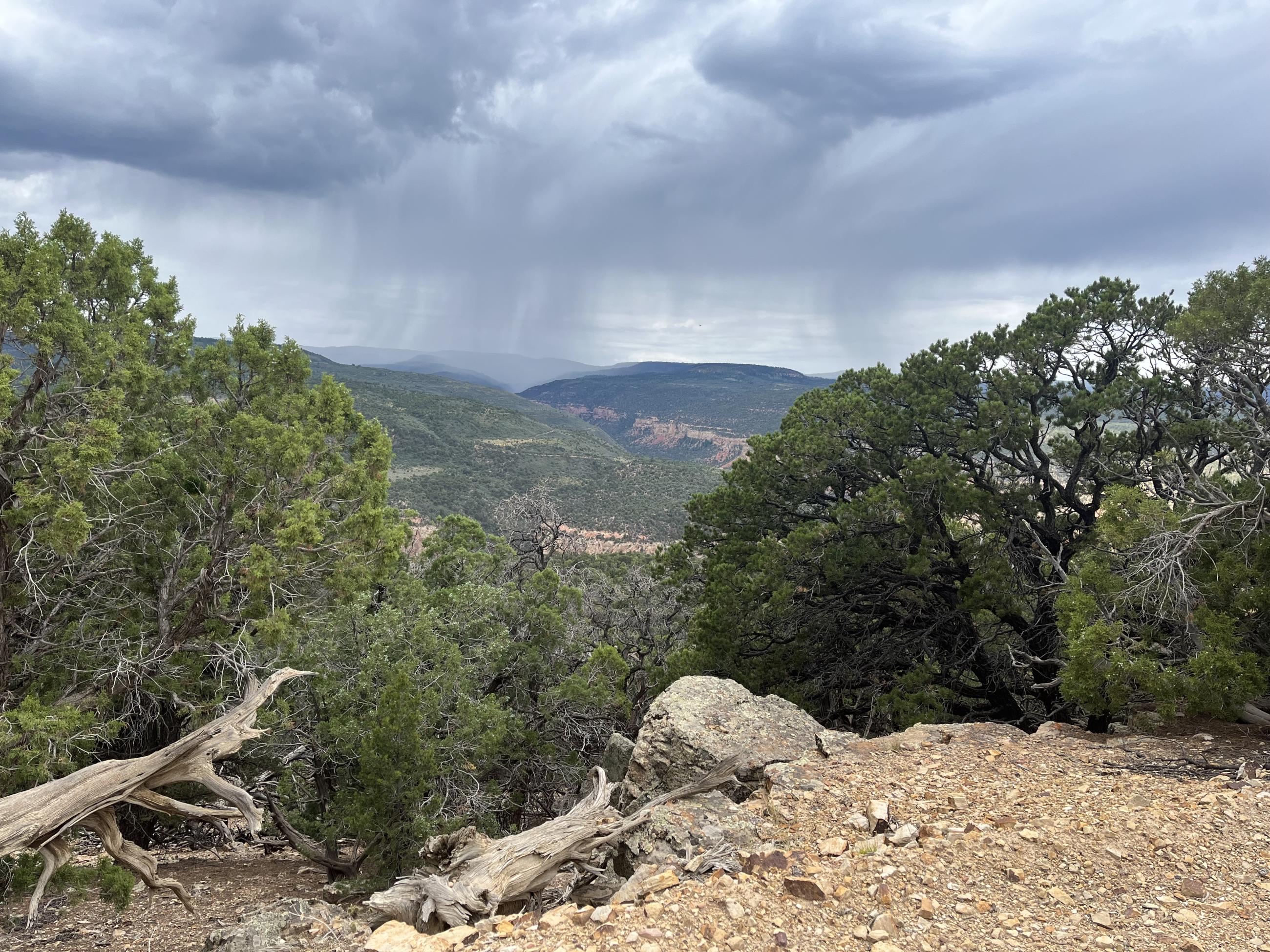 Image of rain showers over the Little Mesa Fire area with pinyon pine and juniper trees. 