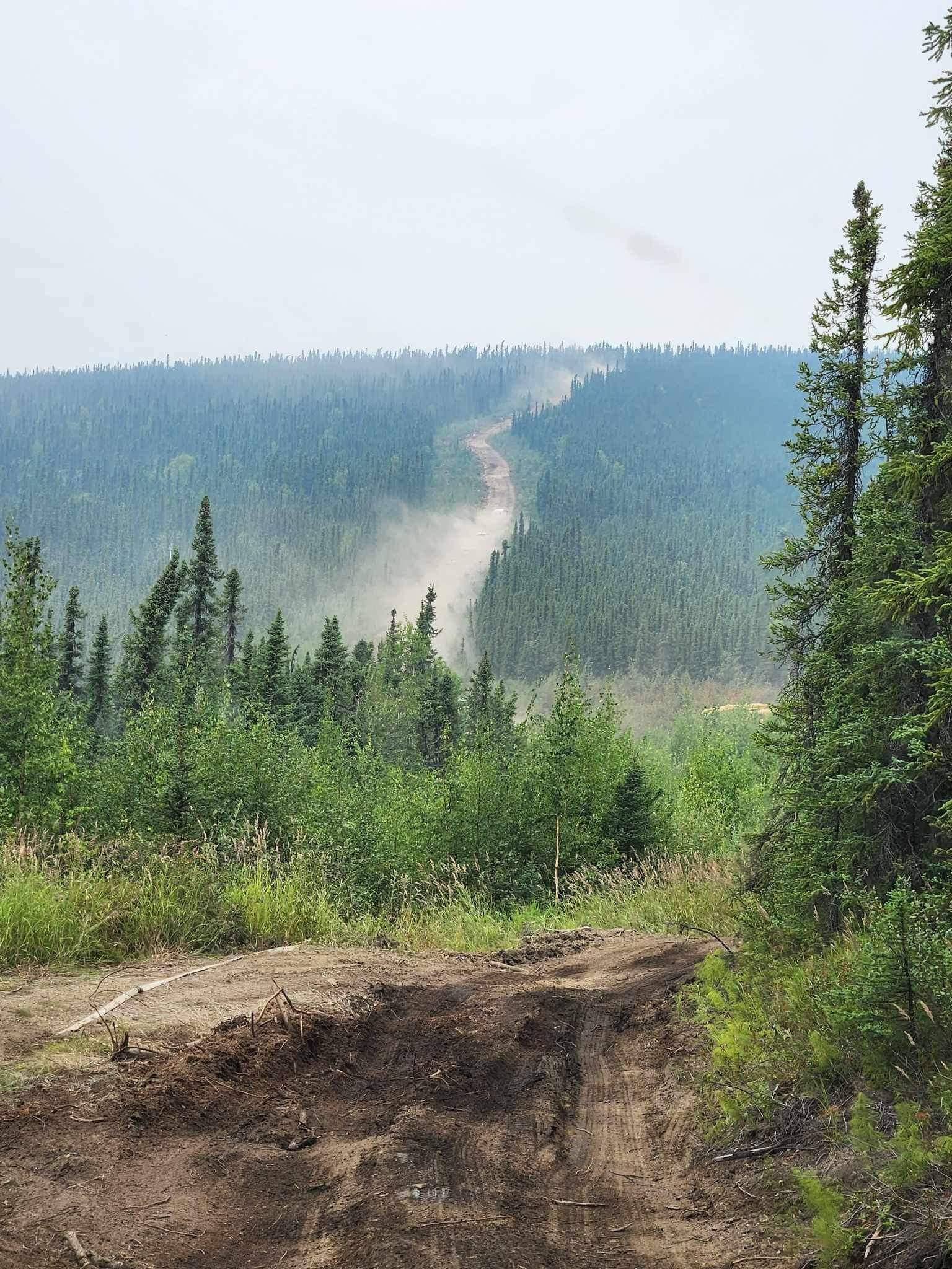 A fire break dozer line.