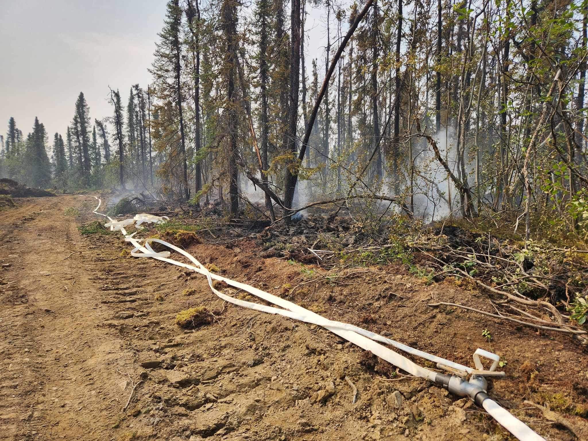 Hoselay along a cleared bulldozer line.