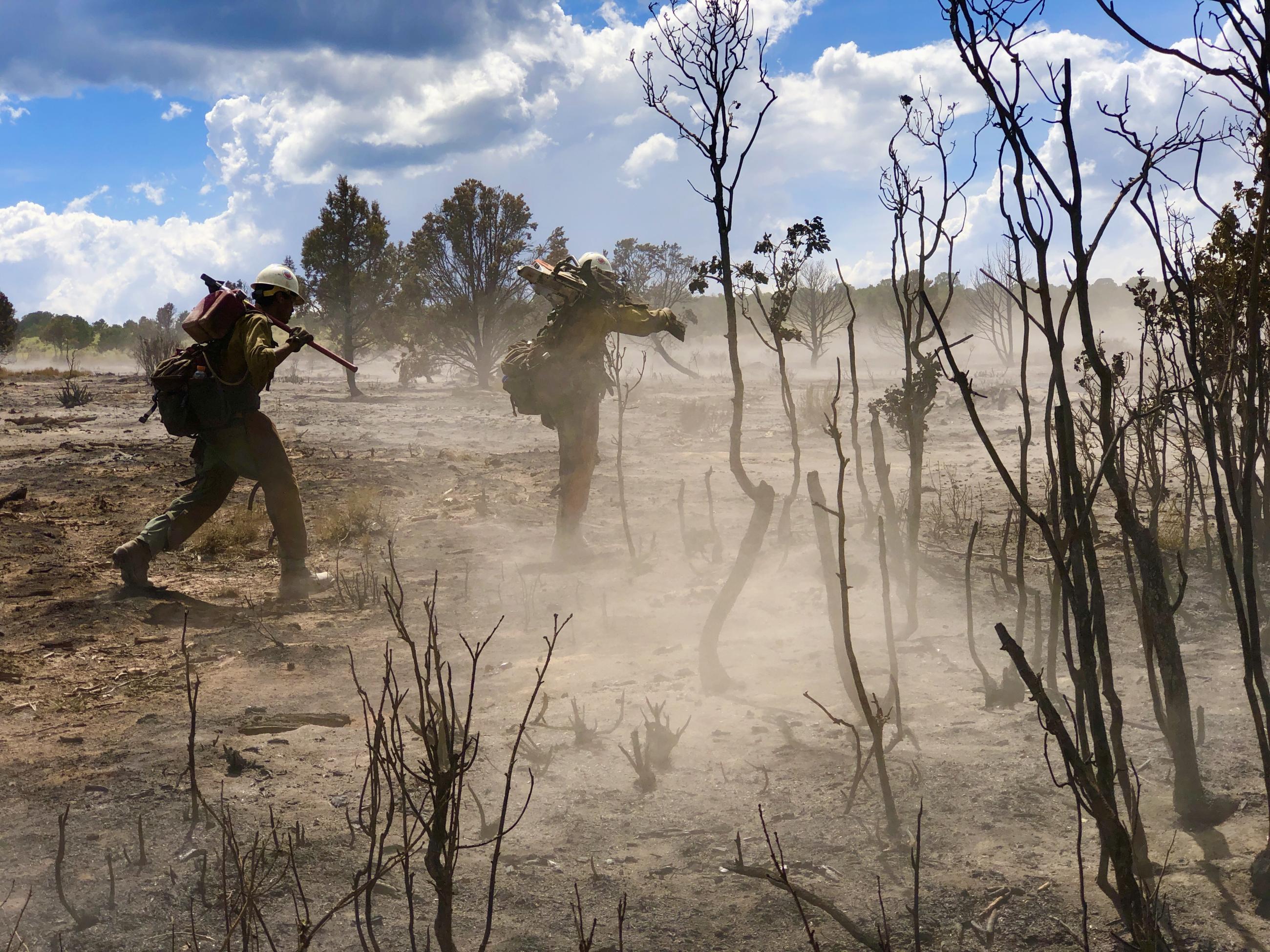 Image of two firefighters with chainsaw equipment hiking across a burned area on the Little Mesa Fire. 