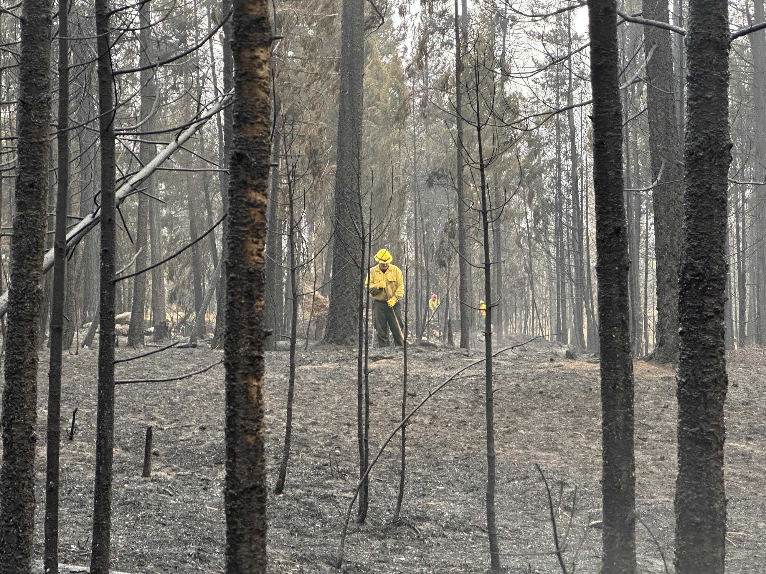 Fighterfighter using a handtool to extinguish a hot spot