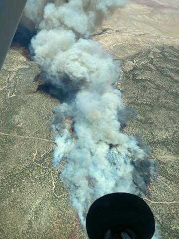 Kane Fire spreading through the pinyon-juniper habitat as seen from the air.
