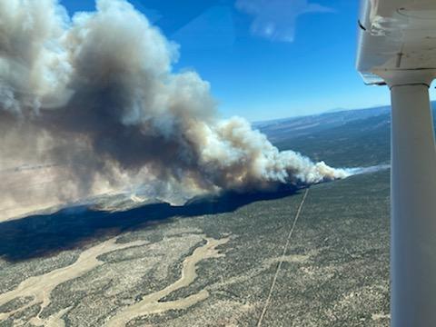 Kane Fire burning in pinyon-juniper habitat as seen from the air.